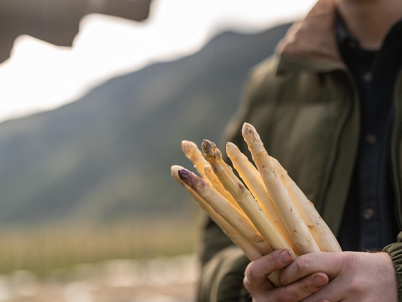 Spargel und Wein vom Köfelgut: Führung durch das Spargelfeld Kastelbell-Tschars 2 suedtirol.info