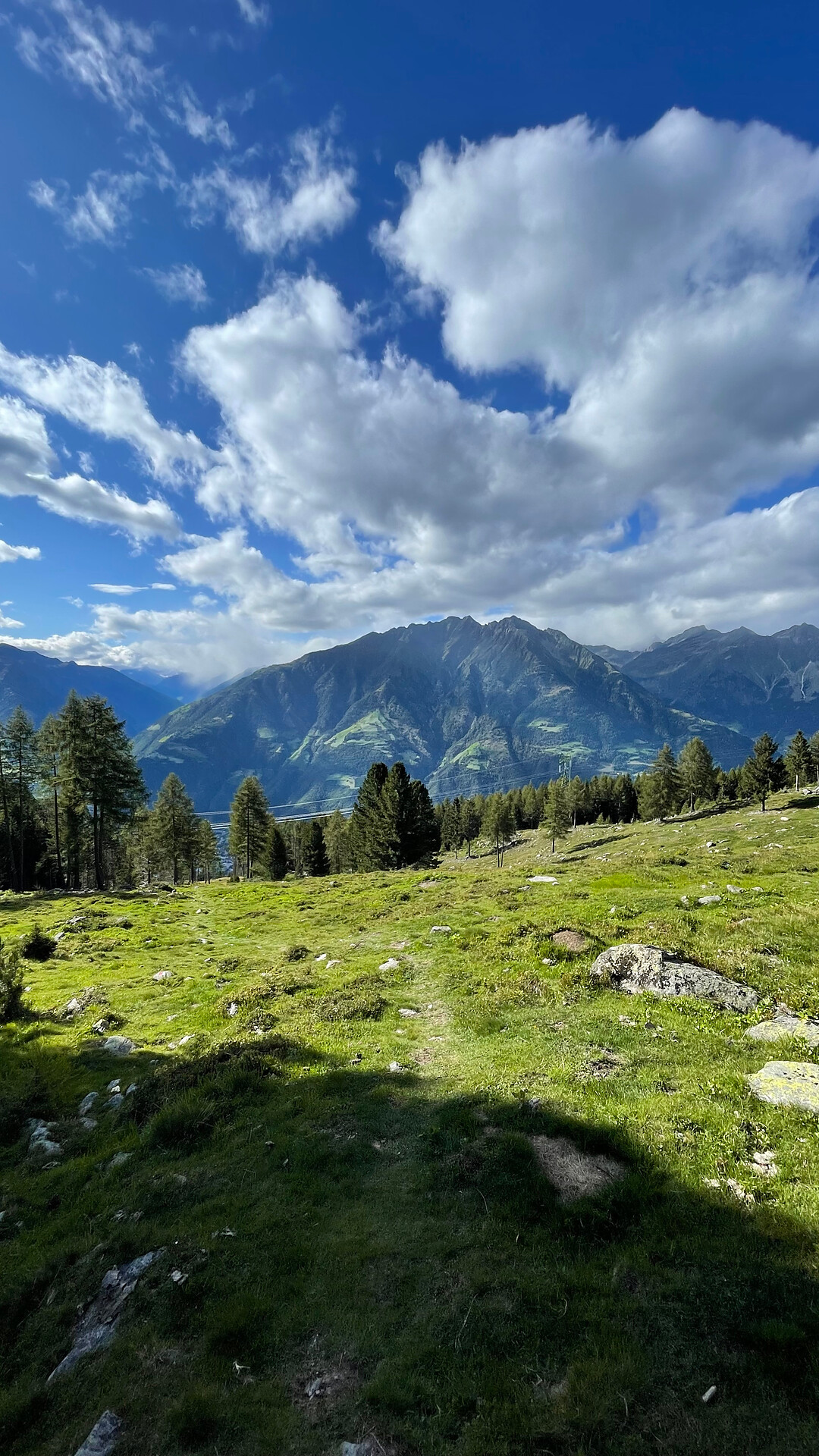 Shuttle Kreuzbrünnl - Naturns (Ritorno) - Merano e dintorni - #1 - suedtirol.info