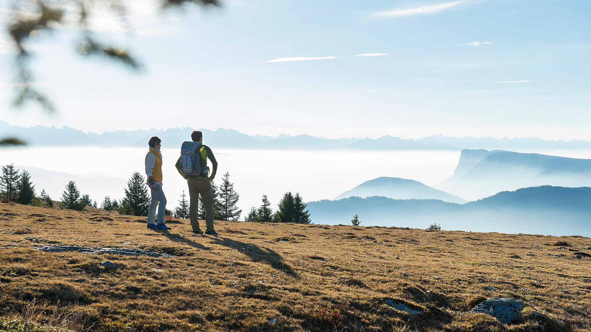 Shuttle Kreuzbrünnl - Naturns (Ritorno) - Merano e dintorni - #3 - suedtirol.info