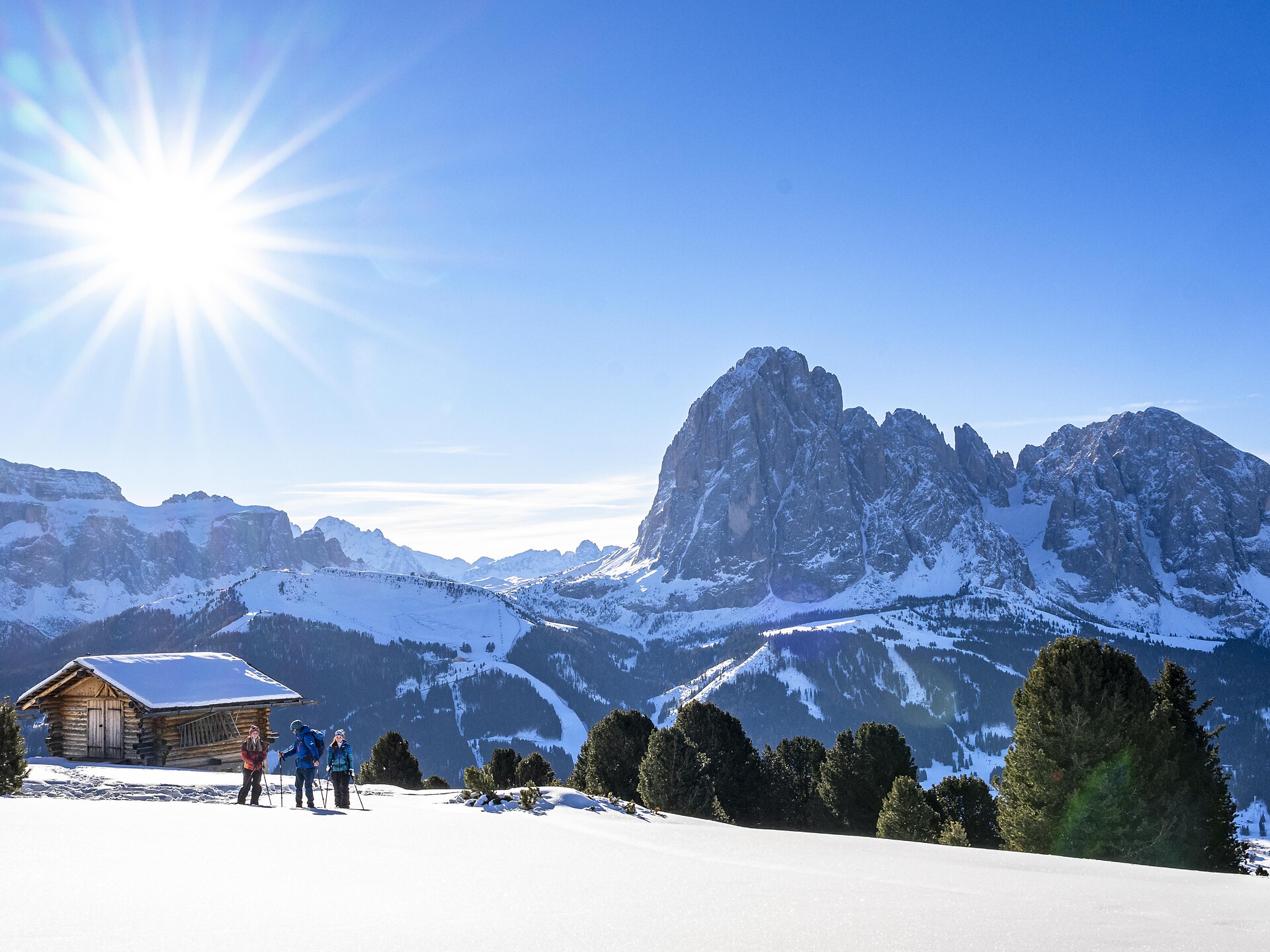 Snowshoeing with the Mountain Guides "Gardena Guides" - Sëurasas - Dolomites Region Val Gardena - #3 - suedtirol.info