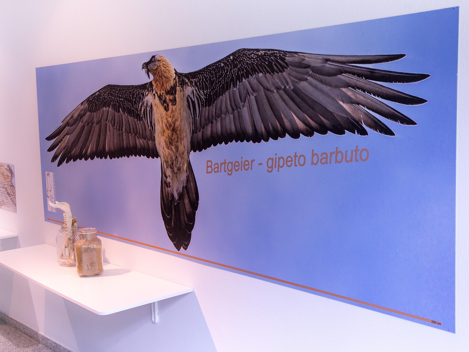 Stelvio Park Day al Centro visitatori naturatrafoi - Val Venosta - #3 - suedtirol.info