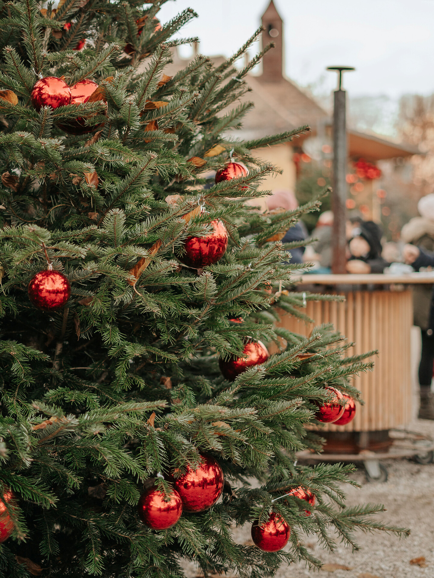 Mercatino Polvere di Stelle - Upcycling alberi di Natale - Merano e dintorni - #1 - suedtirol.info