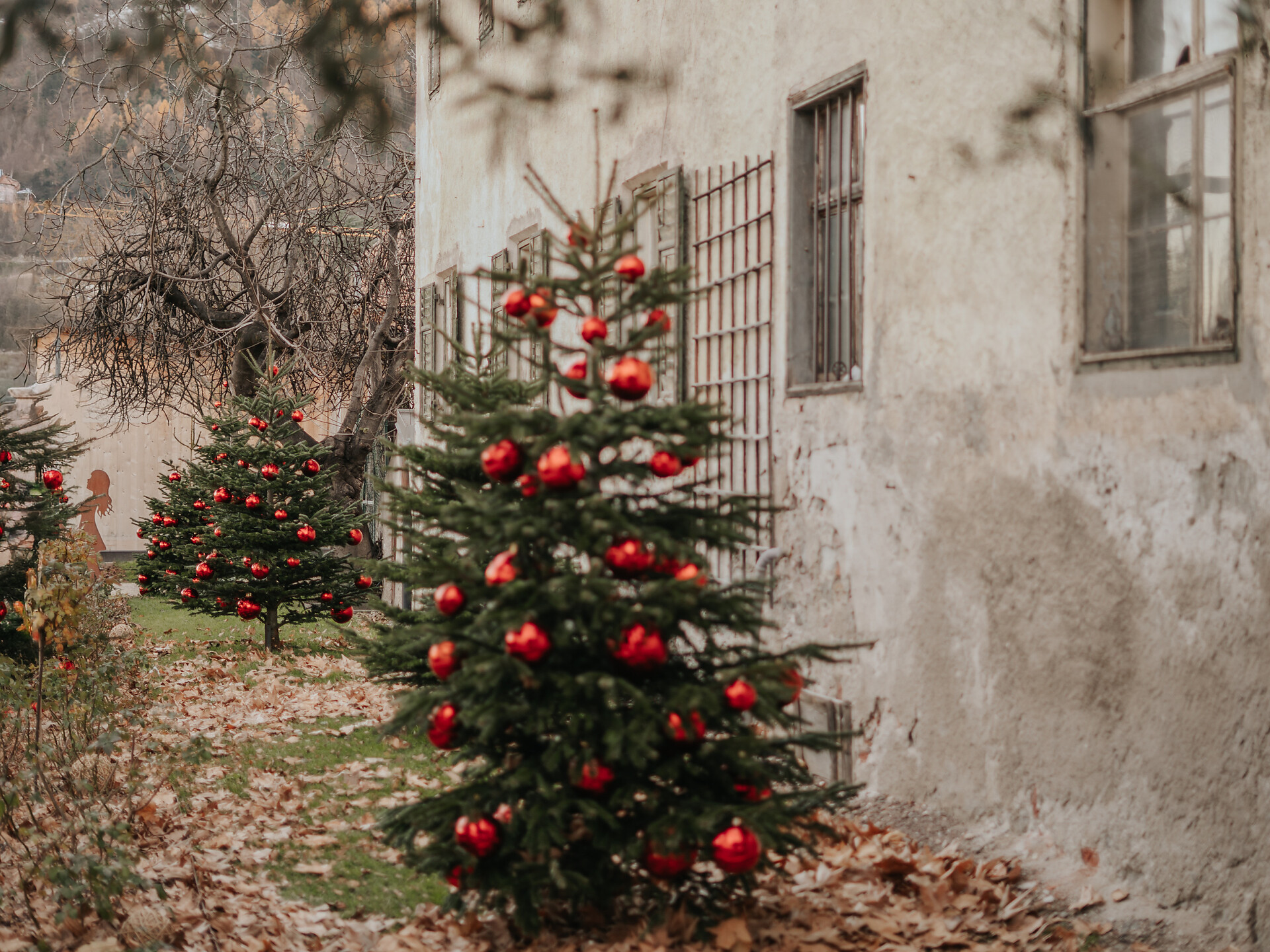 Sterntaler Christmas Market - Christmas Story (in German) - Meran/Merano and environs - #1 - suedtirol.info