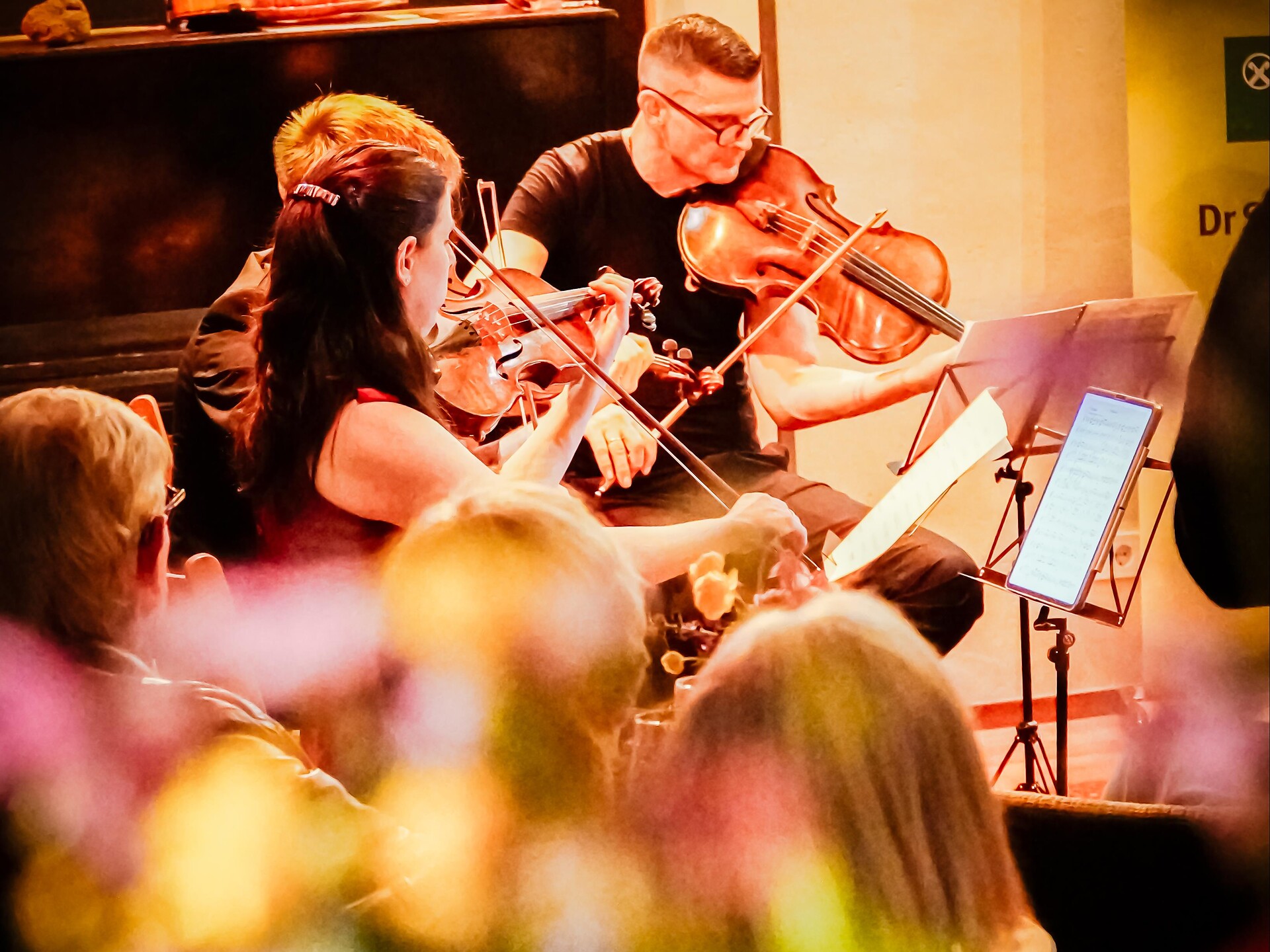 Schlern Music - musica da camera al cospetto dello Sciliar - Regione dolomitica Alpe di Siusi - #2 - suedtirol.info