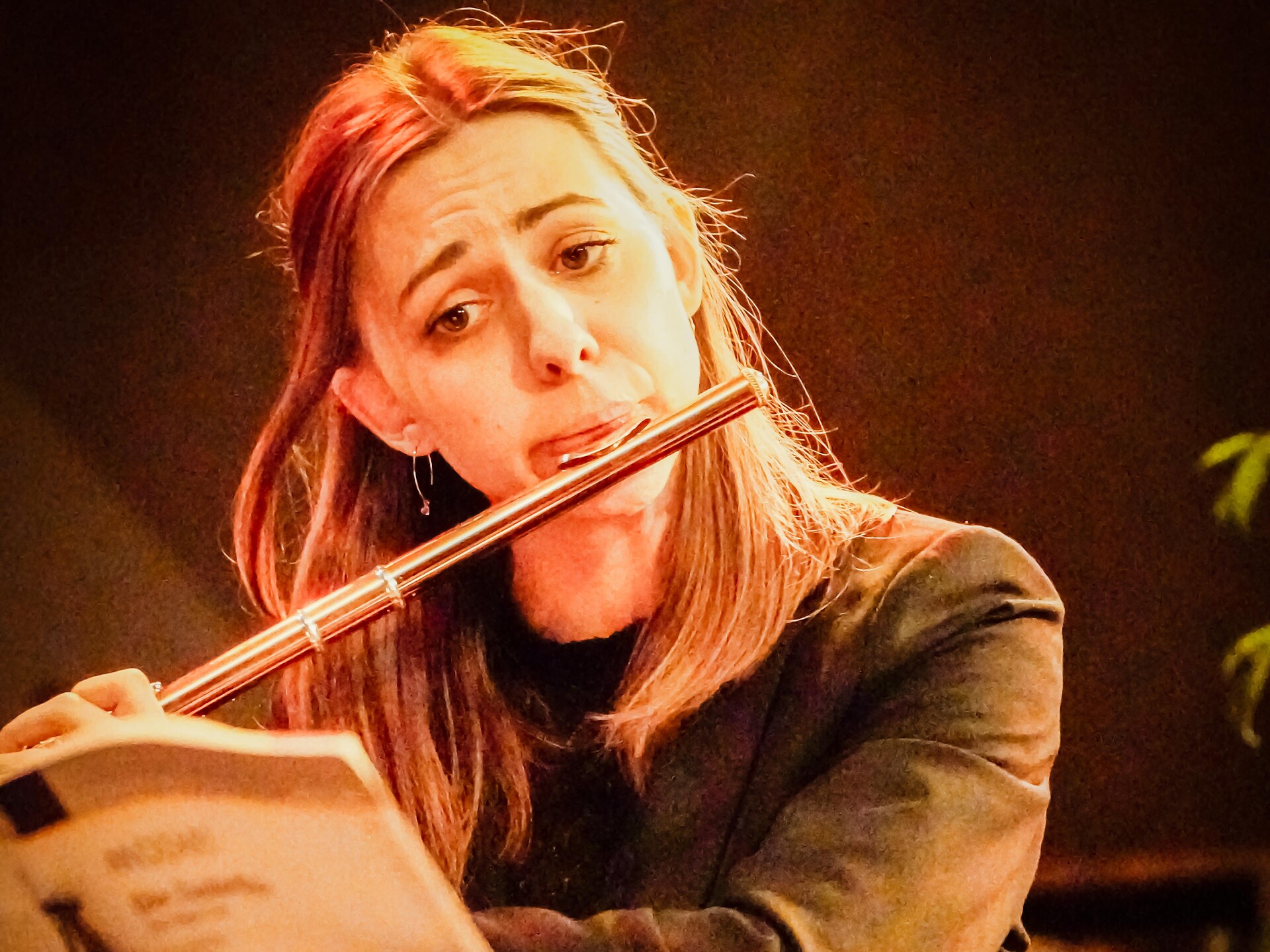 Schlern Music - musica da camera al cospetto dello Sciliar - Regione dolomitica Alpe di Siusi - #3 - suedtirol.info