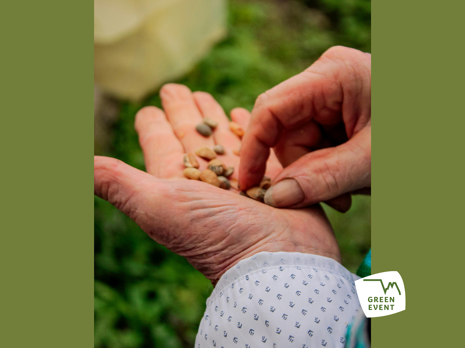 Seed MARKET - Dolomites Region Seiser Alm - #1 - suedtirol.info