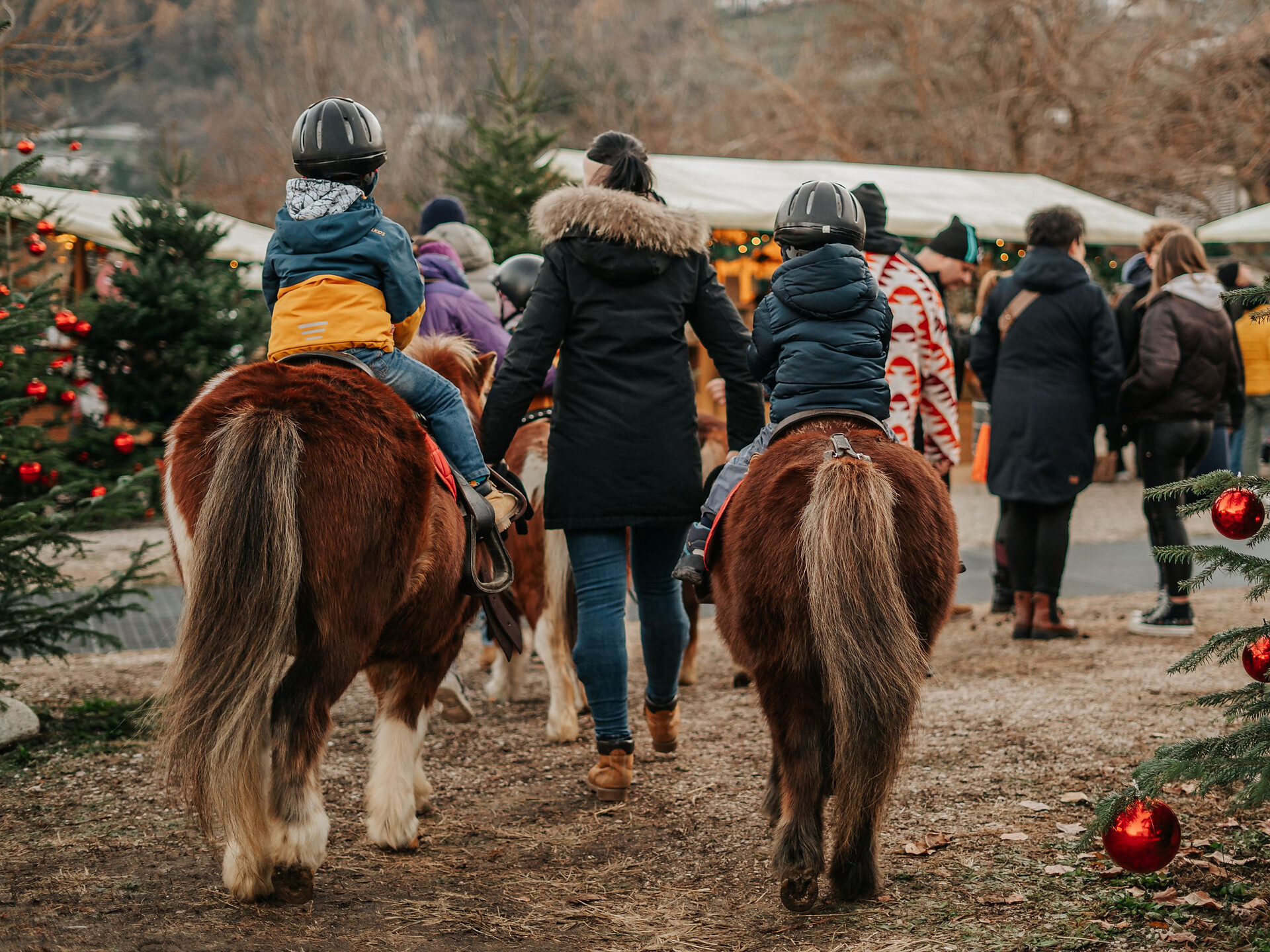 Mercatino Polvere di Stelle - Bambini in groppa a un pony - Merano e dintorni - #1 - suedtirol.info