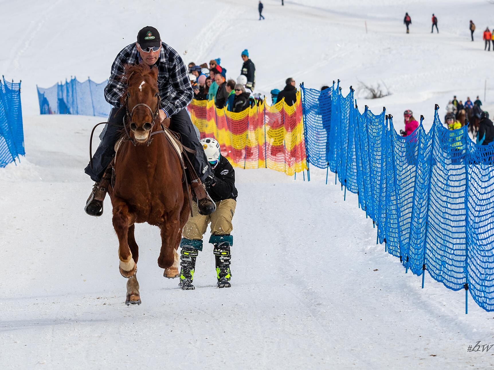 Skijöring - Regione dolomitica Alpe di Siusi - #1 - suedtirol.info
