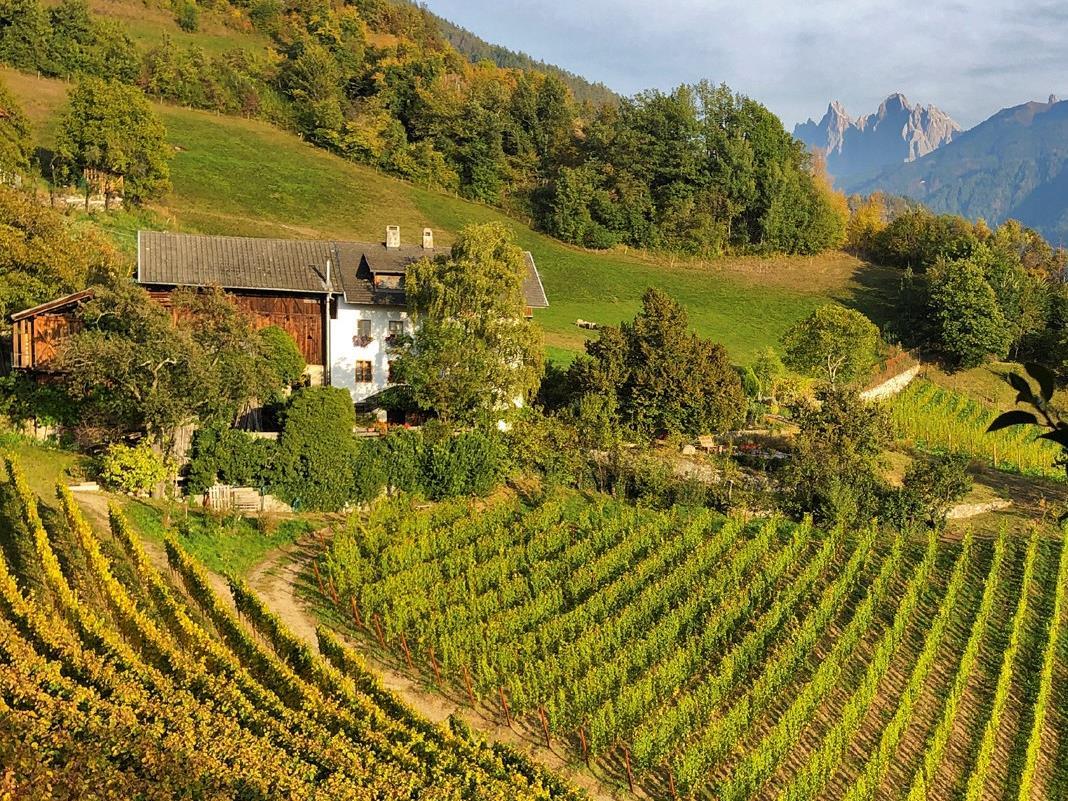 Slow Food Travel - Dem Geschmack des Weines auf der Spur Villnöss 1 suedtirol.info