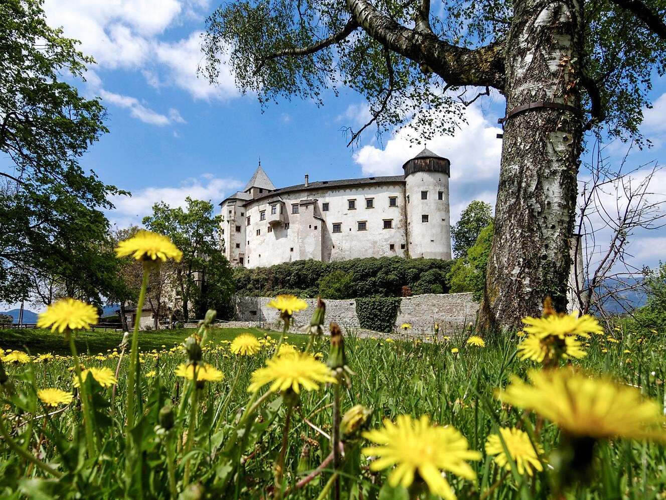 Schloss Prösels: "Schlossquiz" - Dolomites Region Seiser Alm - #1 - suedtirol.info