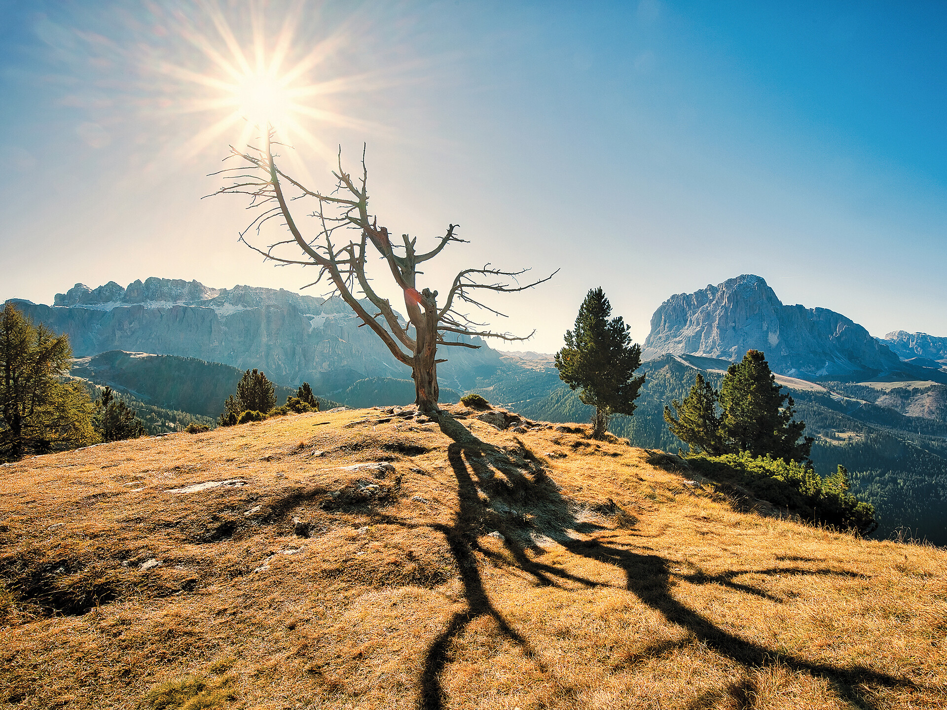 Escursione all’alba allo Steviola nel Parco naturale – svegliarsi con un sorriso - Regione dolomitica Val Gardena - #1 - suedtirol.info