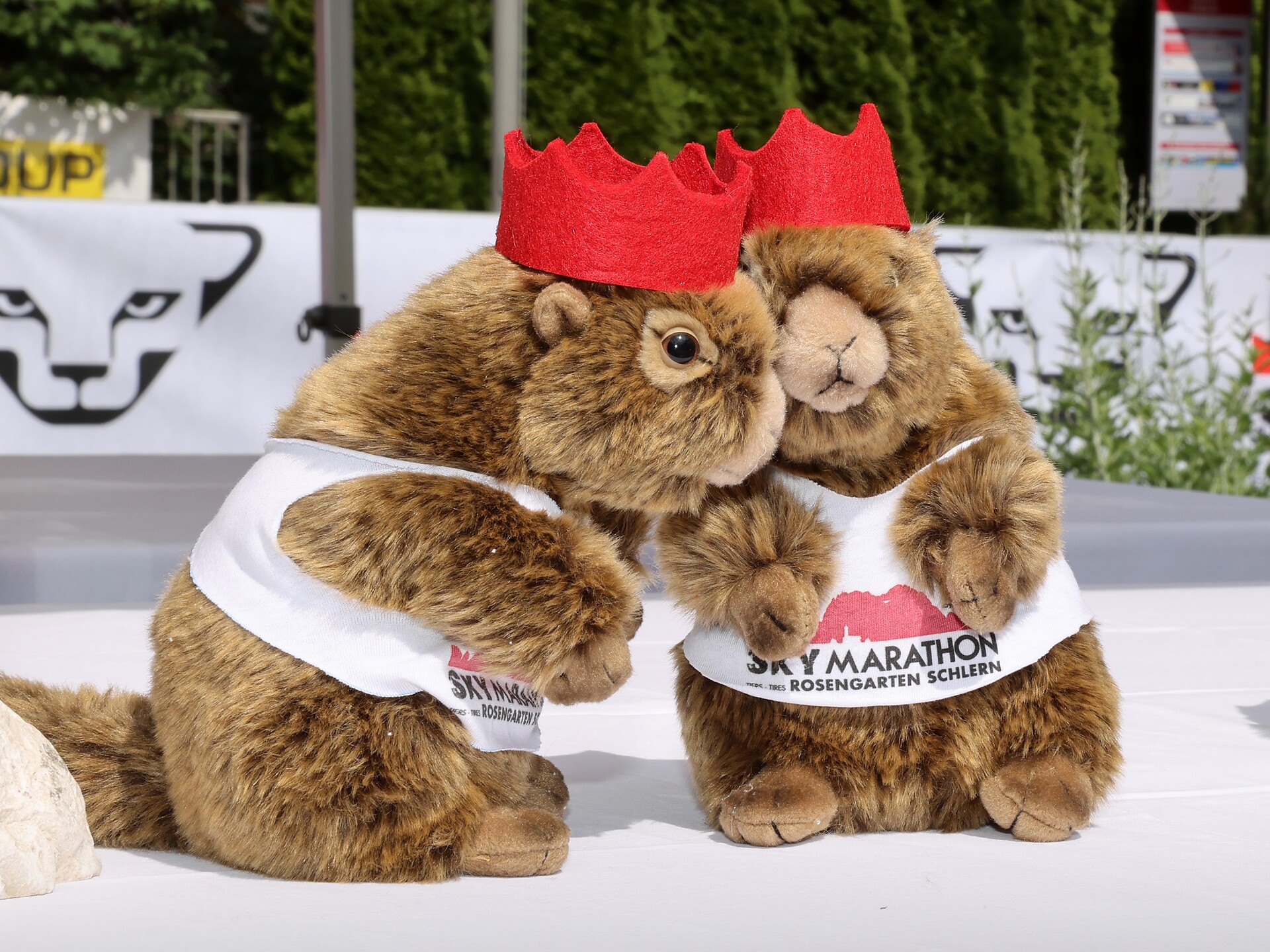 Sky Marathon Rosengarten Schlern Tiers am Rosengarten/Tires al Catinaccio 2 suedtirol.info