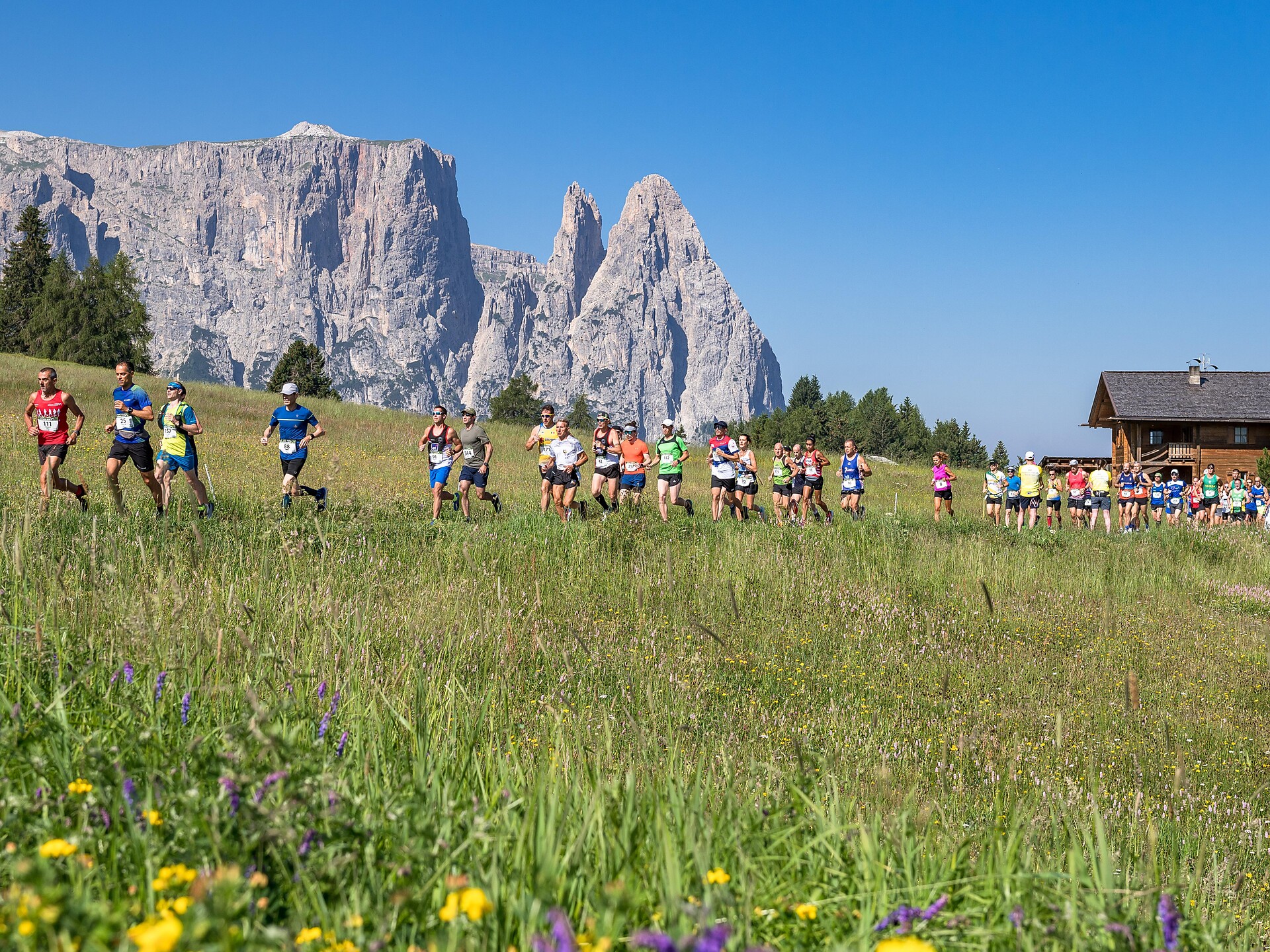 Seiser Alm Halbmarathon - Dolomitenregion Seiser Alm - #1 - suedtirol.info