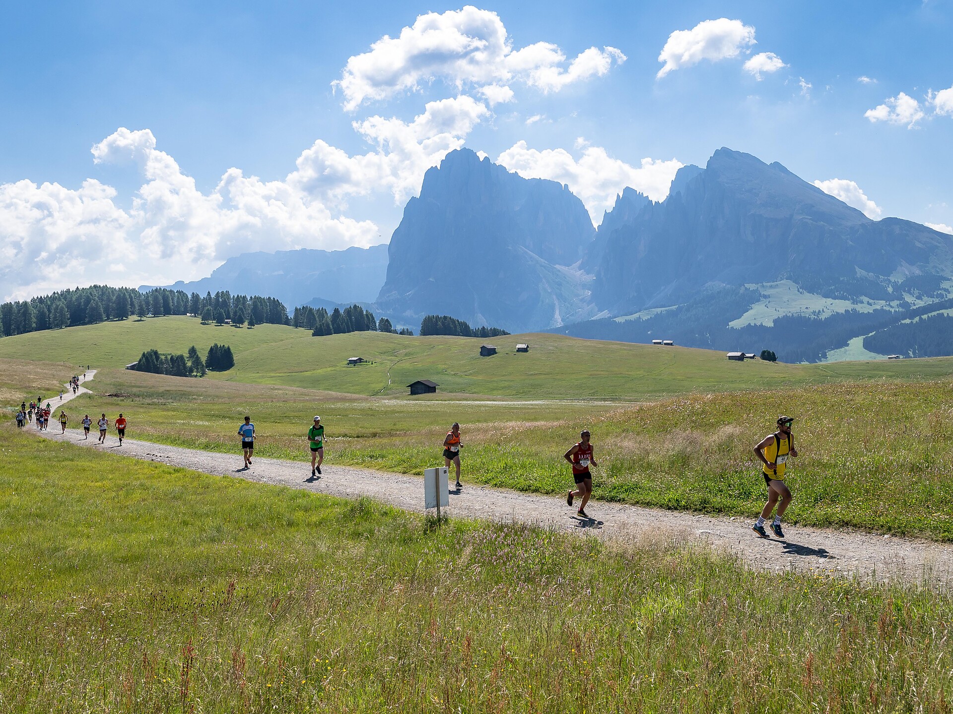 Seiser Alm Halbmarathon - Dolomitenregion Seiser Alm - #3 - suedtirol.info