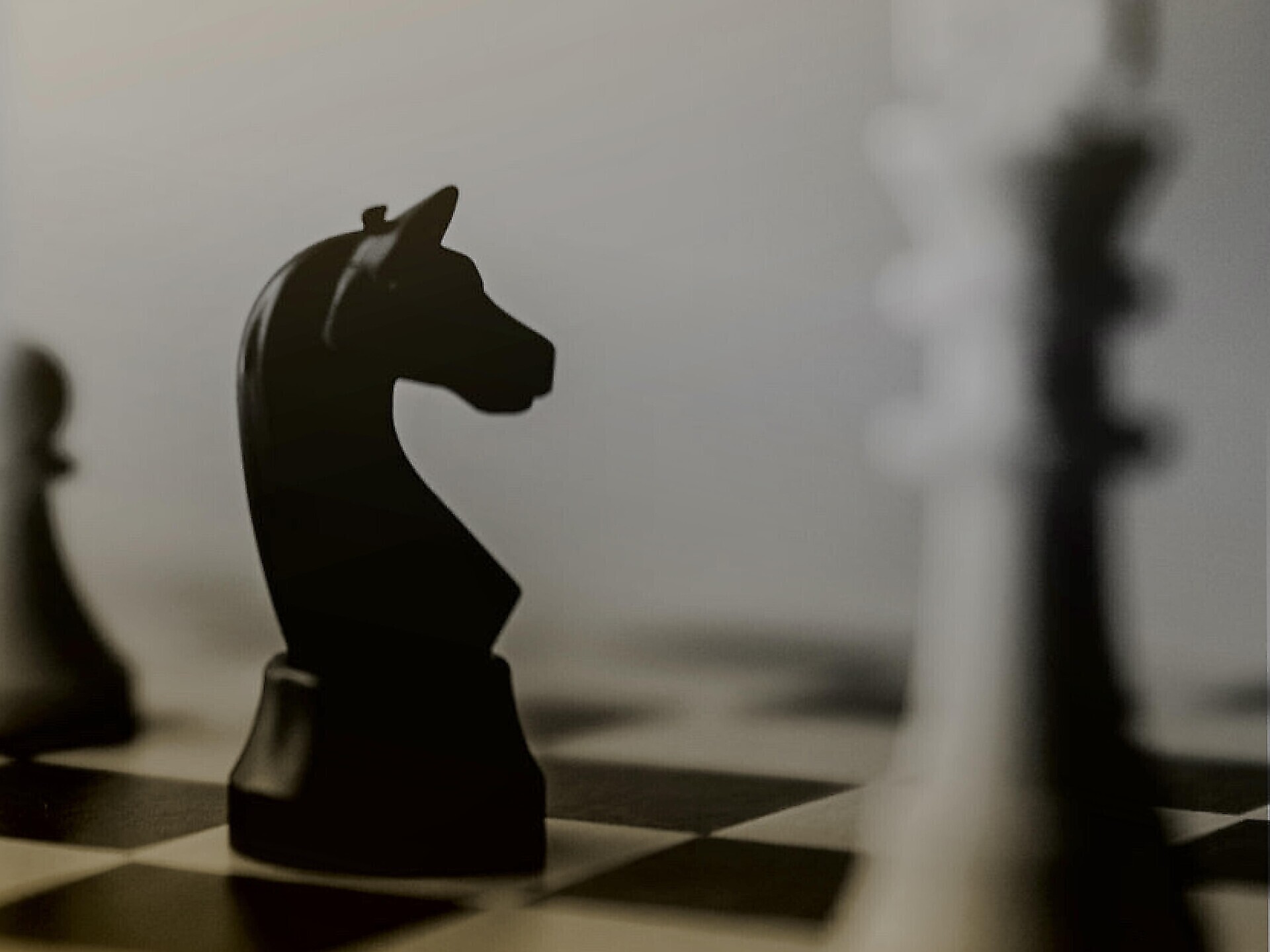 Serata di scacchi - Regione dolomitica 3 Cime - #1 - suedtirol.info