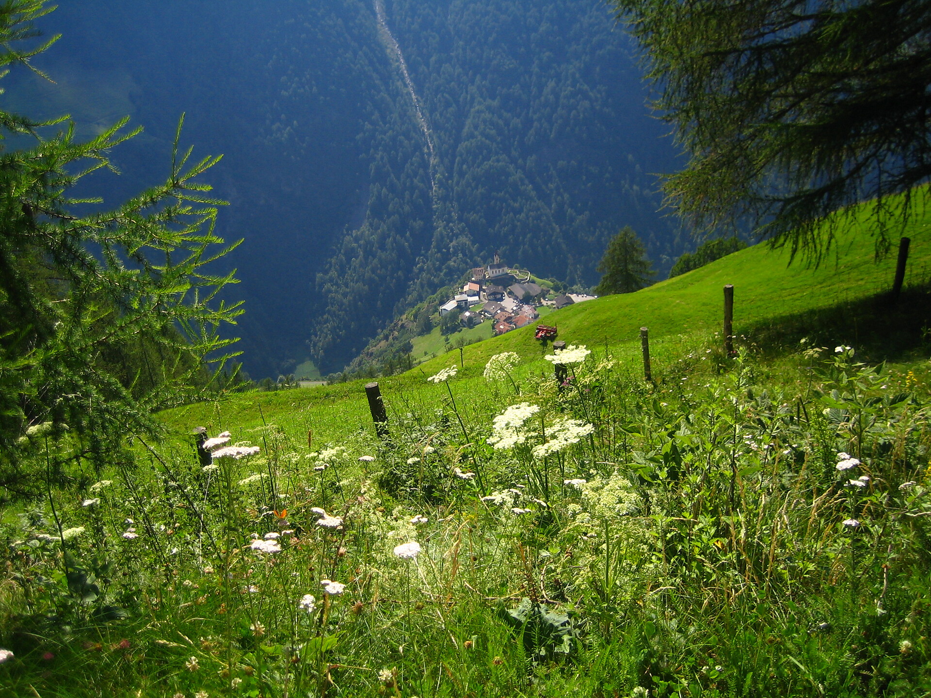 Shuttle zum Parkplatz Schroflhof - Vinschgau - #1 - suedtirol.info