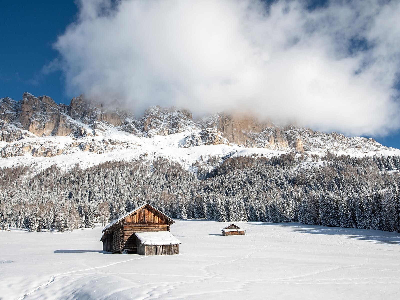 Snowshoe Hike in the Carezza hiking area - Dolomites Region Seiser Alm - #2 - suedtirol.info