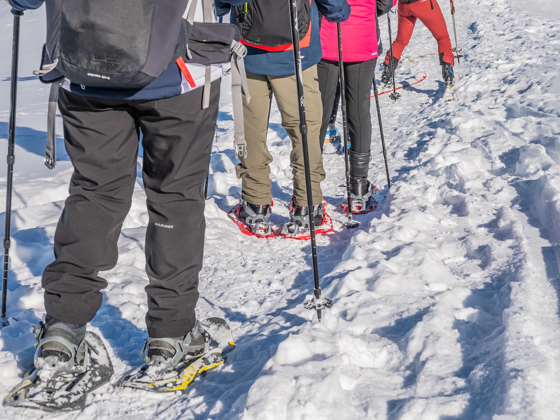 Schritt für Schritt ins Schneeschuh-Abenteuer - Dolomitenregion Kronplatz - #1 - suedtirol.info