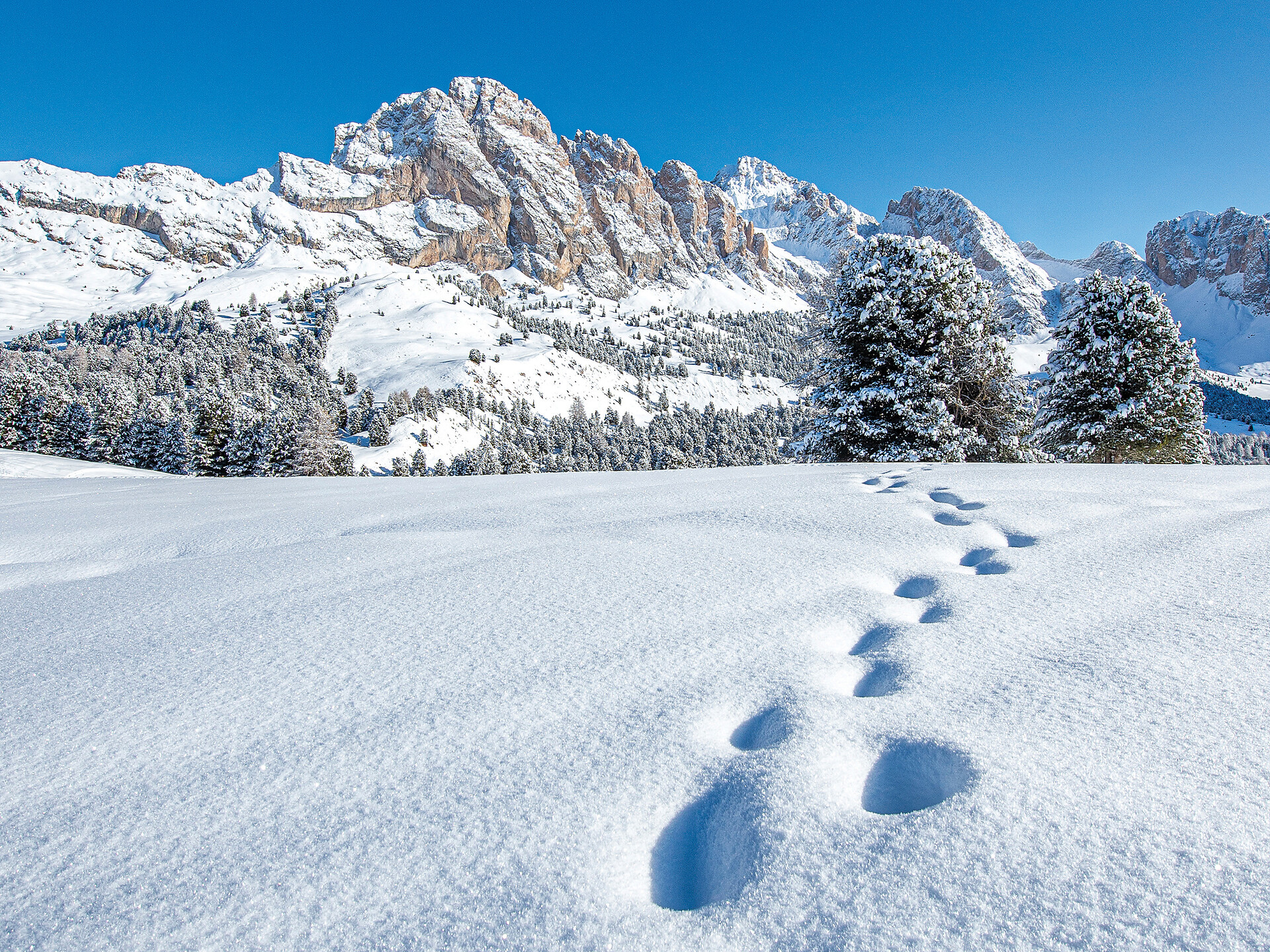 Schneeschuhwanderung mit den Bergführern "GardenaGuides" – Unter den Geislern - Dolomitenregion Gröden - #3 - suedtirol.info
