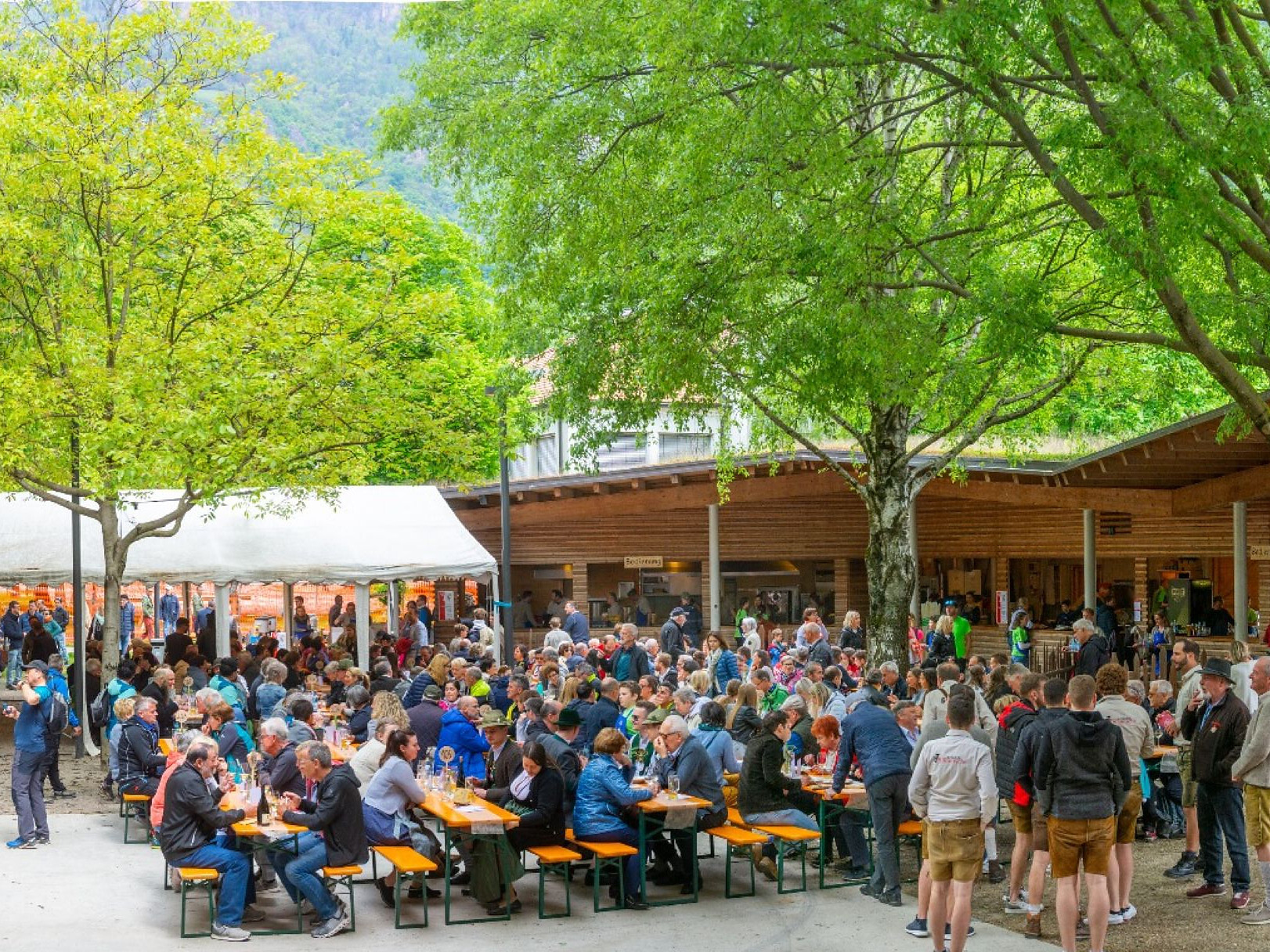 Festa degli asparagi - Strada del Vino - #4 - suedtirol.info
