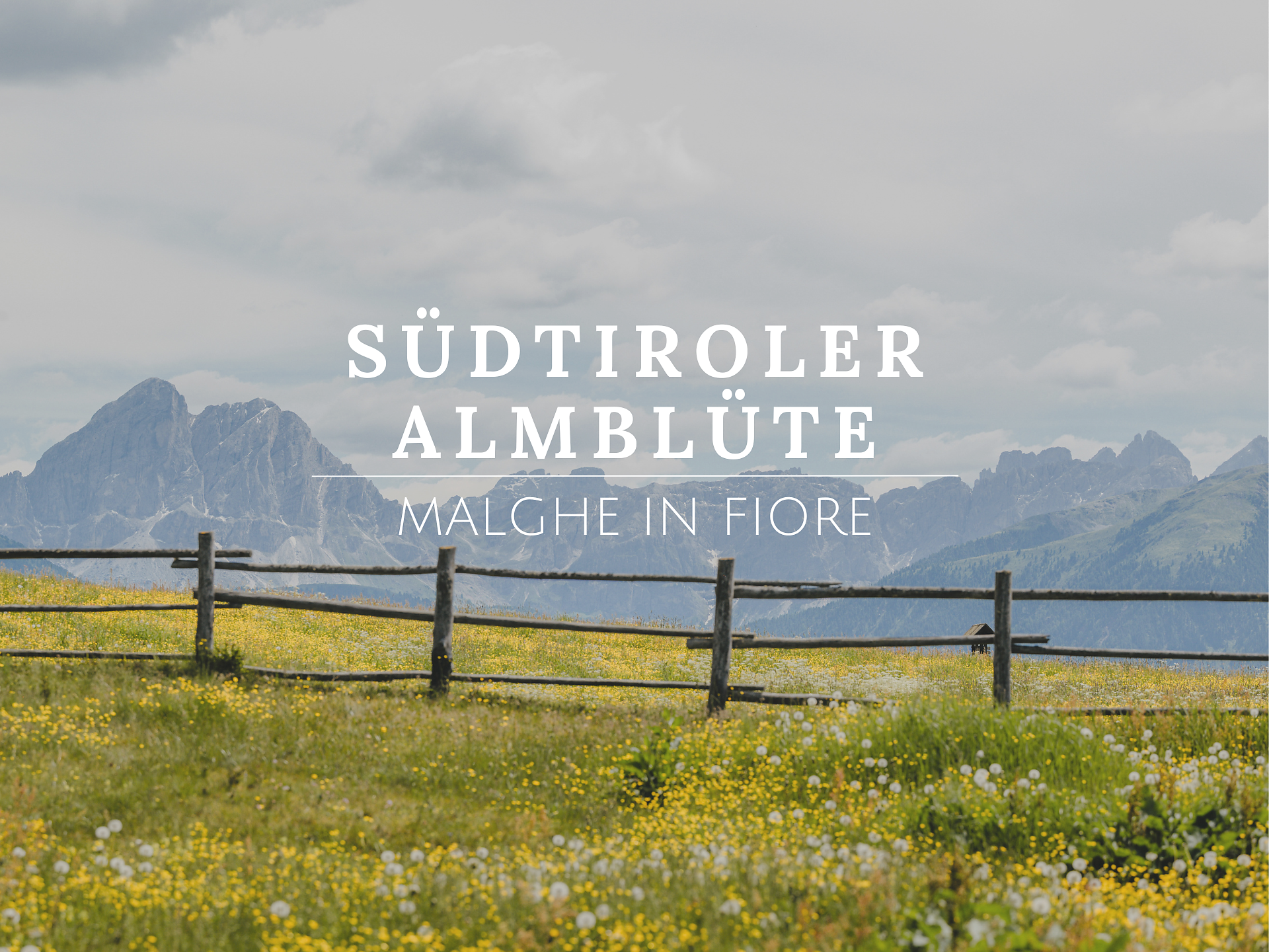 SPRINGTIME IN SOUTH TYROL: Panoramic walk - Brixen/Bressanone and environs - #1 - suedtirol.info