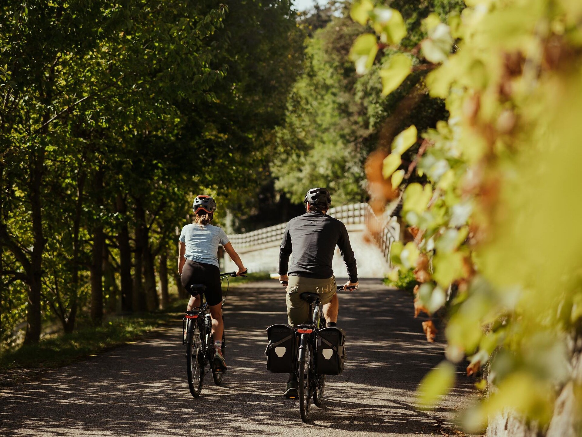 SPRINGTIME IN SOUTH TYROL: Guided electric bike tour: bike & cheese - Brixen/Bressanone and environs - #3 - suedtirol.info