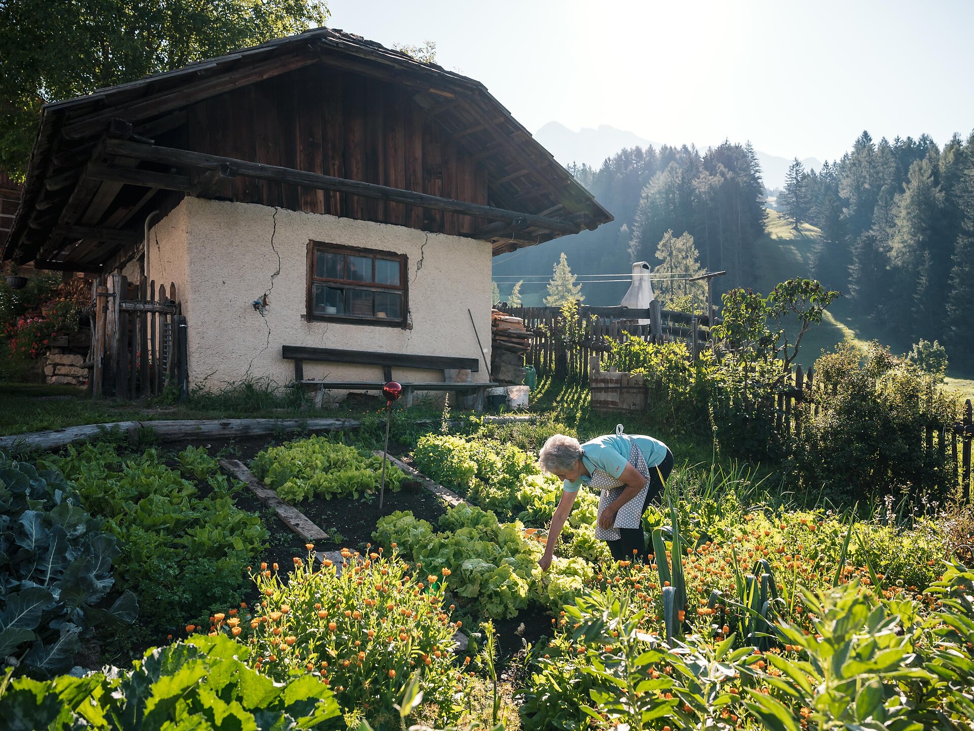 Saus di paurs - Hofgenüsse - Dolomitenregion Alta Badia - #1 - suedtirol.info