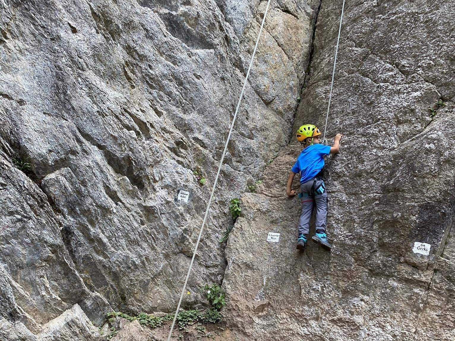 Corso d'arrampicata e zipline per bambini - Regione dolomitica Plan de Corones - #3 - suedtirol.info