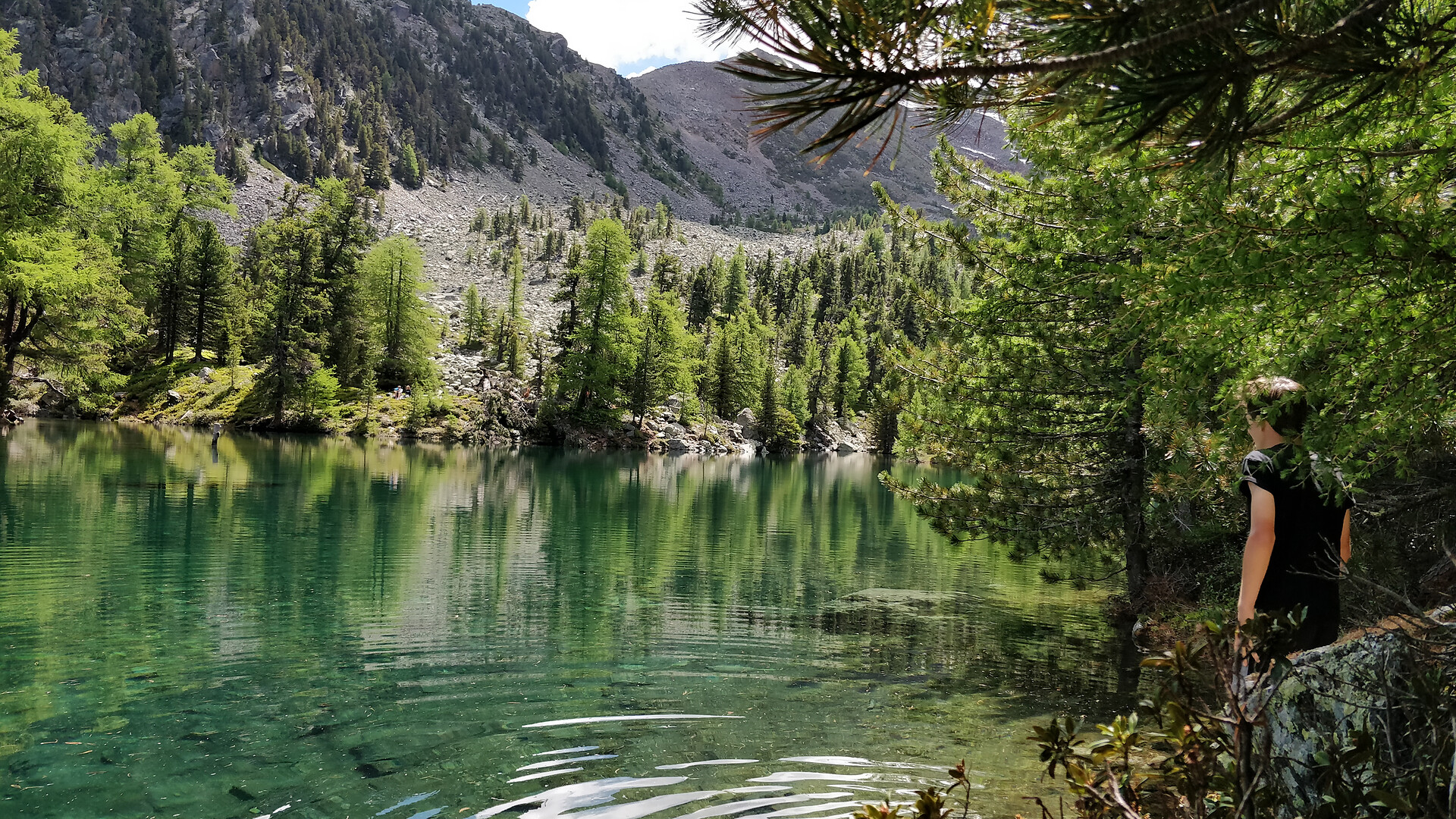 Shuttle Naturno - Schartegg/Monte Tramontana (andata) - Merano e dintorni - #2 - suedtirol.info