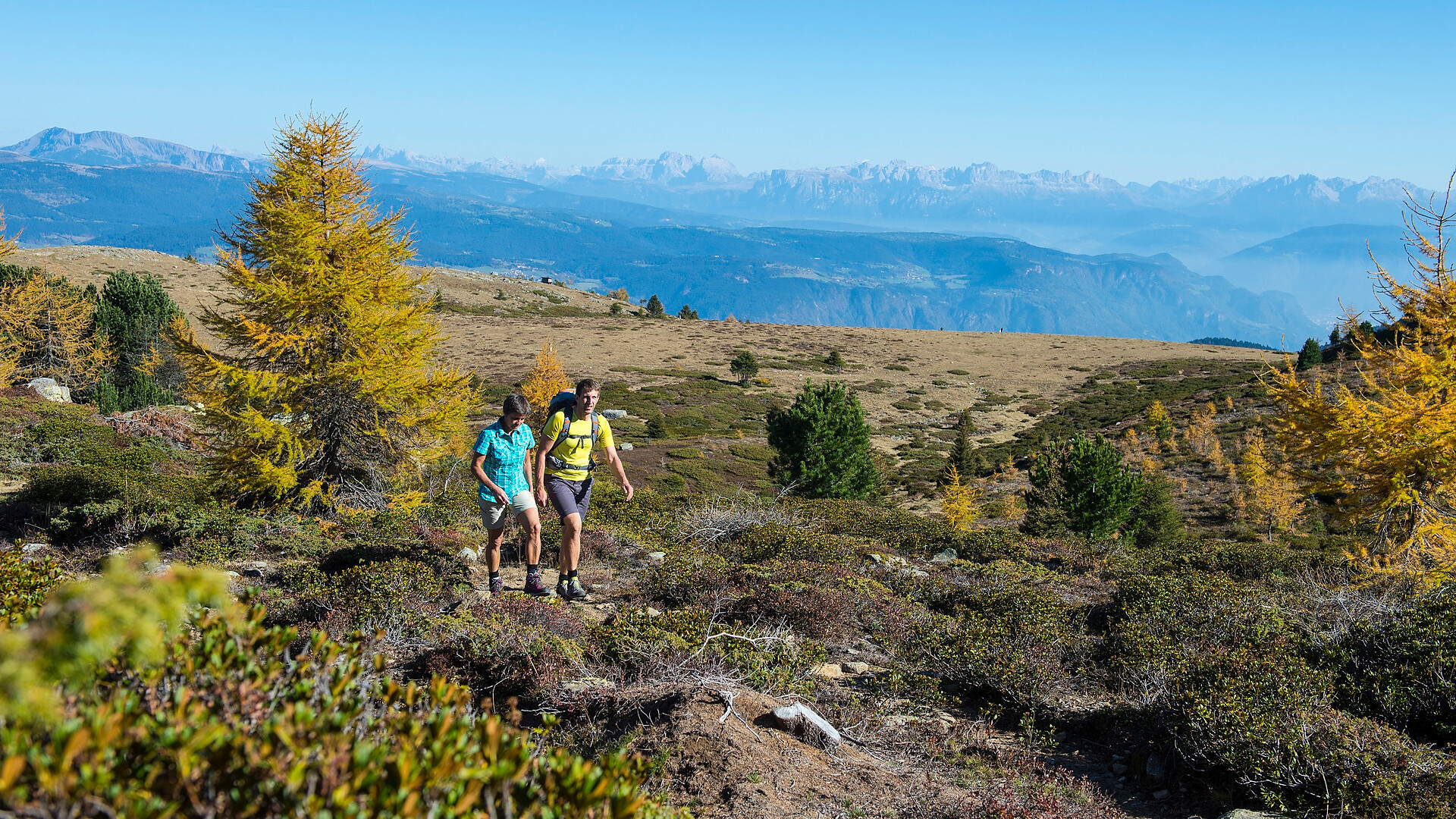 Shuttle Naturno - Schartegg/Monte Tramontana (andata) - Merano e dintorni - #1 - suedtirol.info