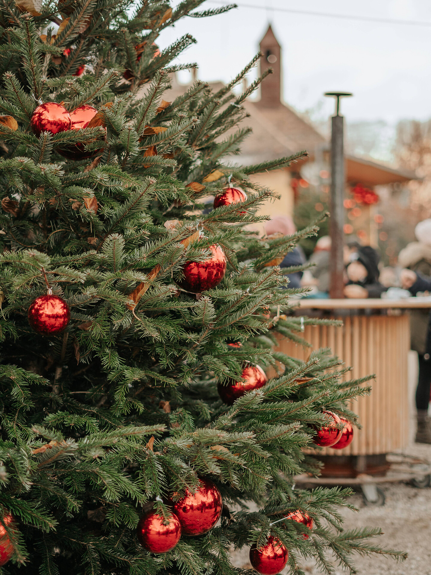 Sterntaler Weihnachtsmarkt - Weihnachtsgeschichte - Meran und Umgebung - #1 - suedtirol.info