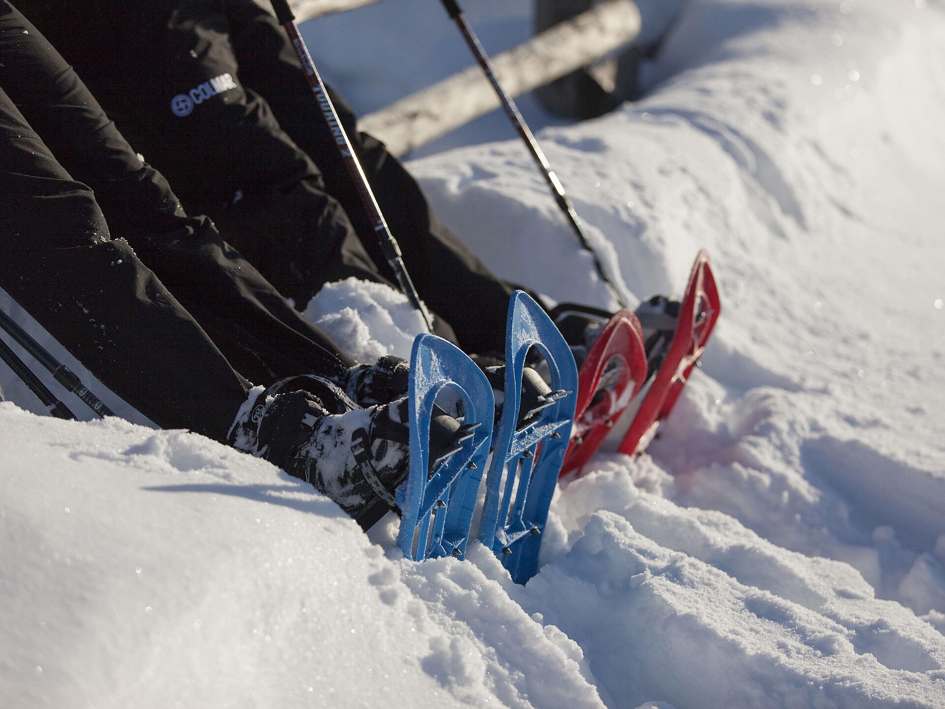 Snowshoe Tour with a Mountain Guide | Ulten Valley - Meran/Merano and environs - #3 - suedtirol.info