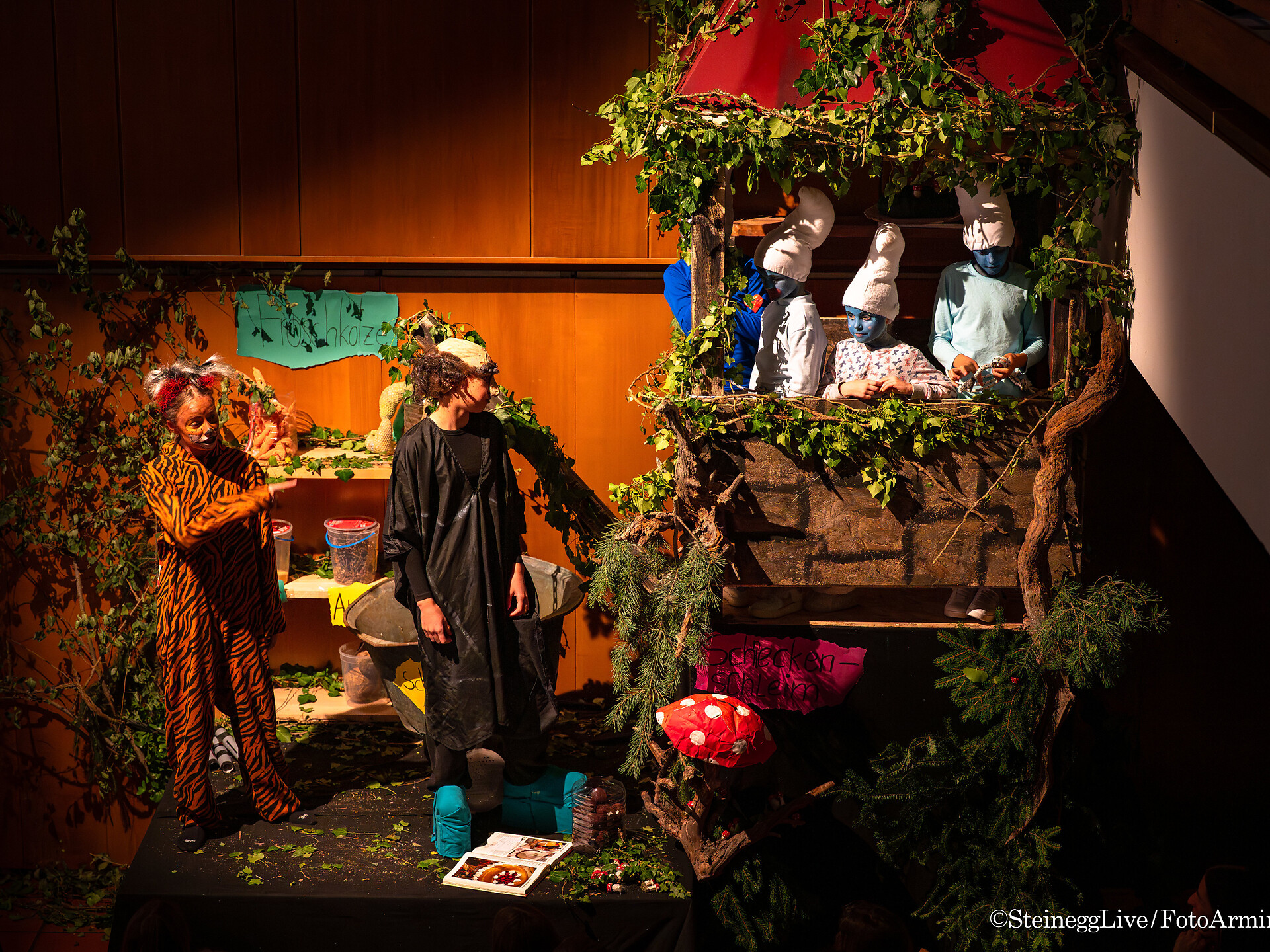 STEINEGG LIVE - Children’s Theatre „Anders als geplant“ (in German only) - Dolomites Region Eggental - #2 - suedtirol.info