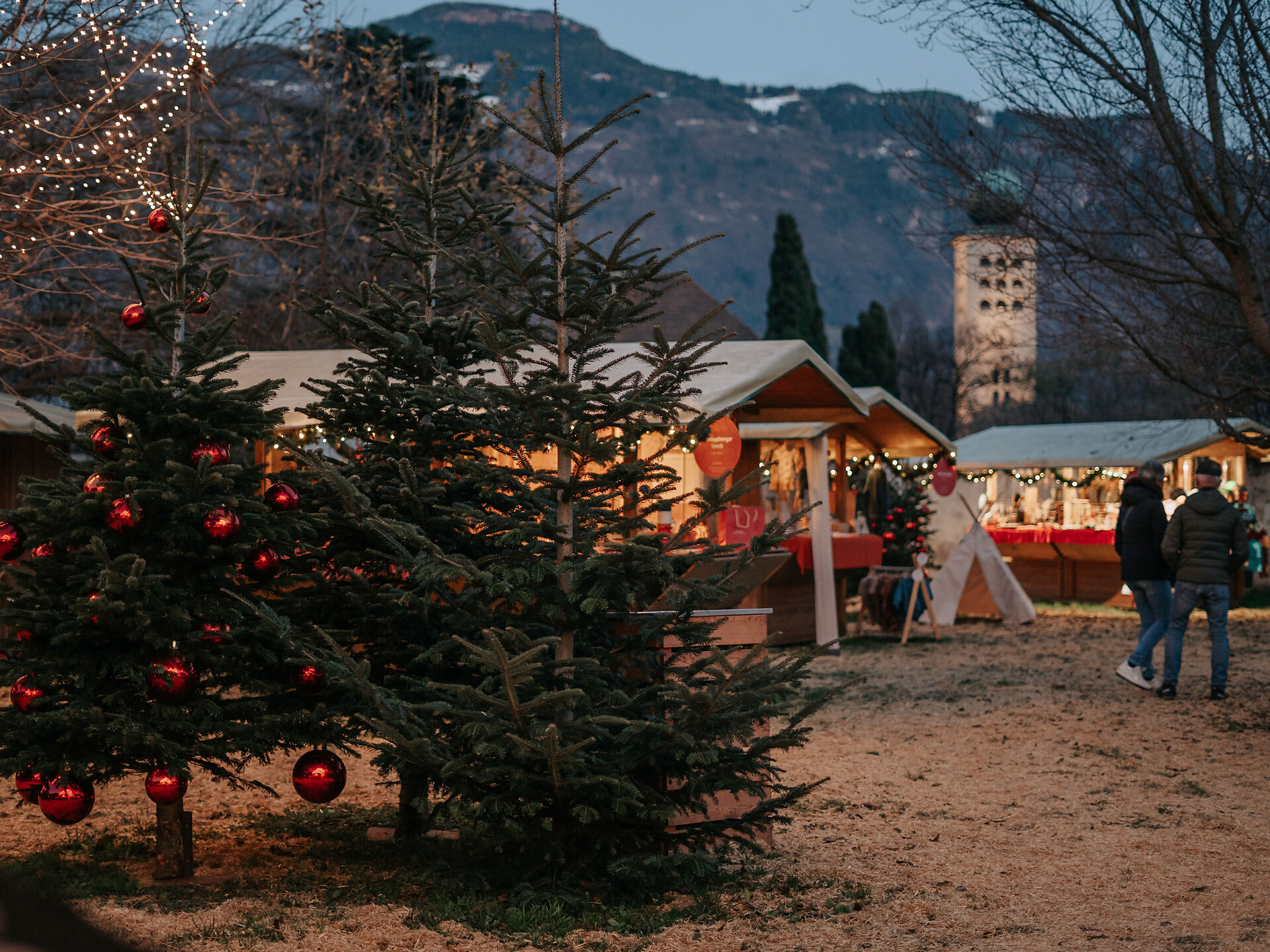 Sterntaler Christmas  market - Sale of panettone - Meran/Merano and environs - #1 - suedtirol.info