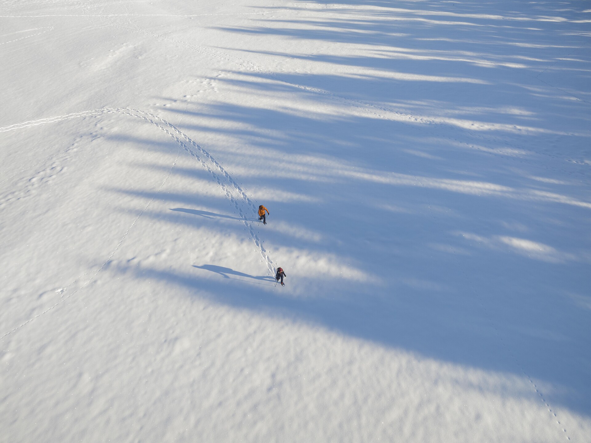 Schneeschuhwanderung am Fuße des Latemar - Dolomitenregion Eggental - #2 - suedtirol.info