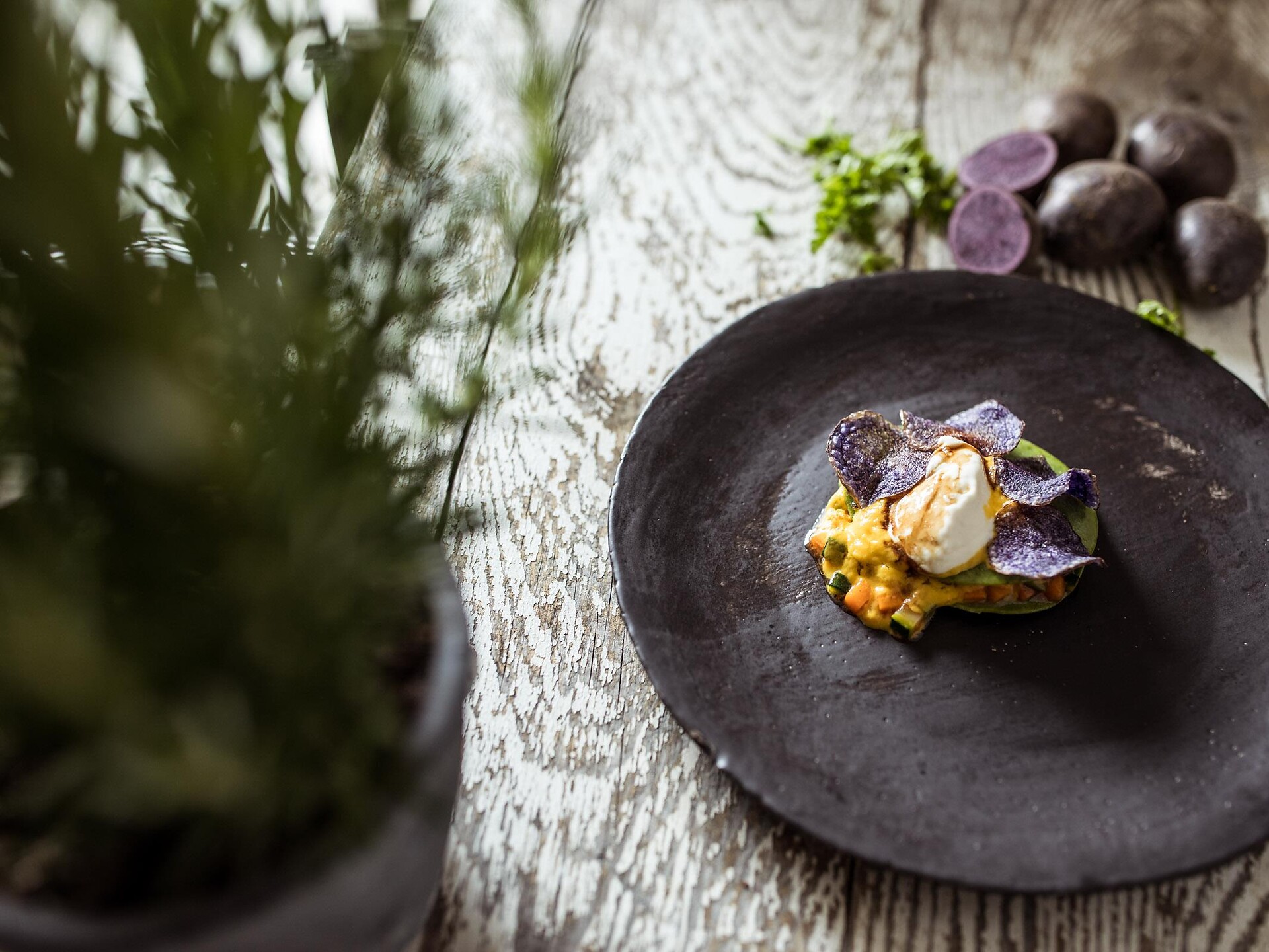 Cucina veloce per tutta la settimana - l'accademia di cucina nell' Astra Lab - Regione dolomitica Val d'Ega - #2 - suedtirol.info