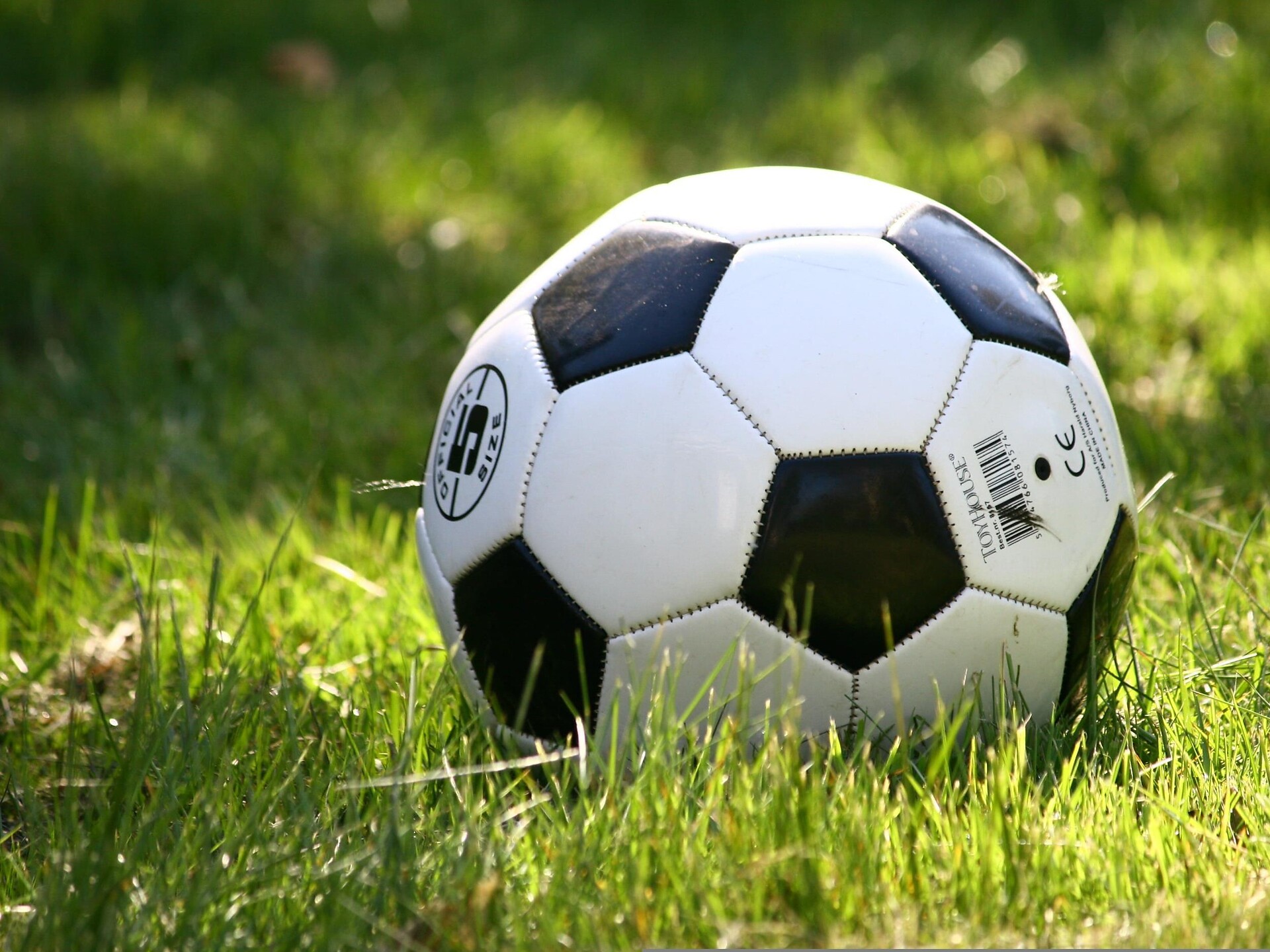 ASC St. Pankraz Sports and Family Festival - Meran/Merano and environs - #1 - suedtirol.info