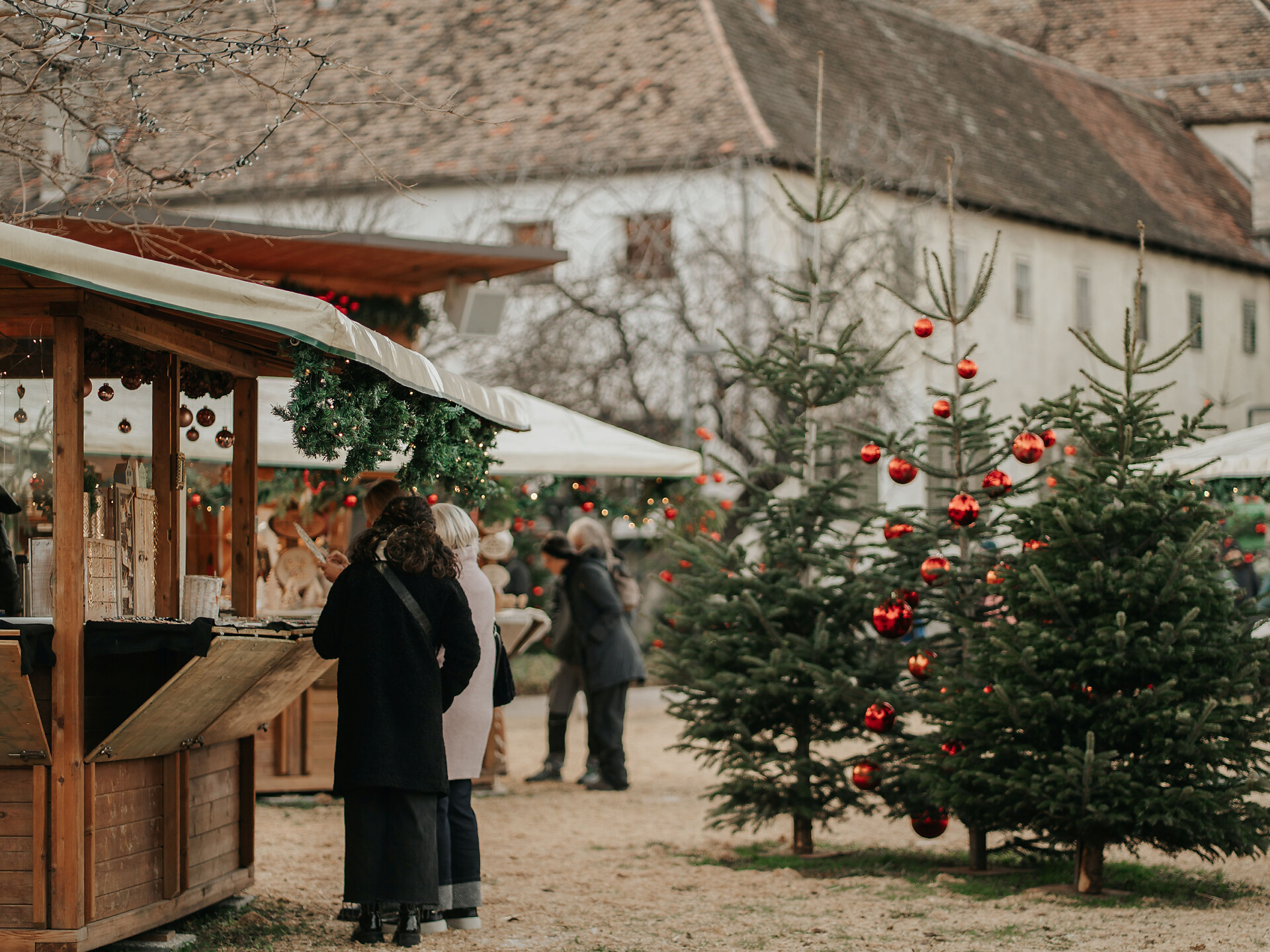 Mercatino Polvere di Stelle - Le donne contadine cucinano sulla stufa a legna - Merano e dintorni - #1 - suedtirol.info