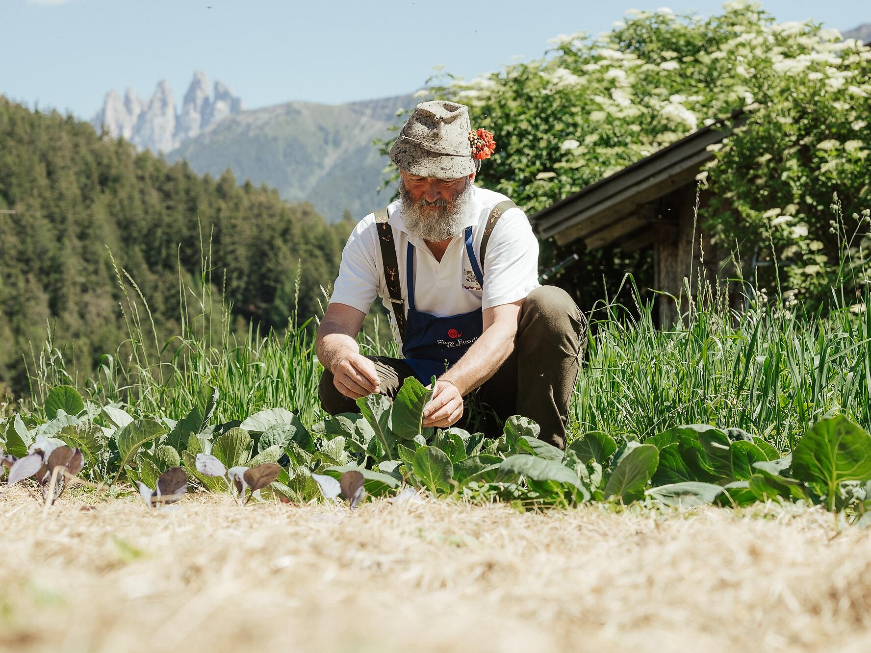 Slow Food Travel - Escursione sul sentiero del Contadino - Regione dolomitica Luson Val di Funes - #1 - suedtirol.info