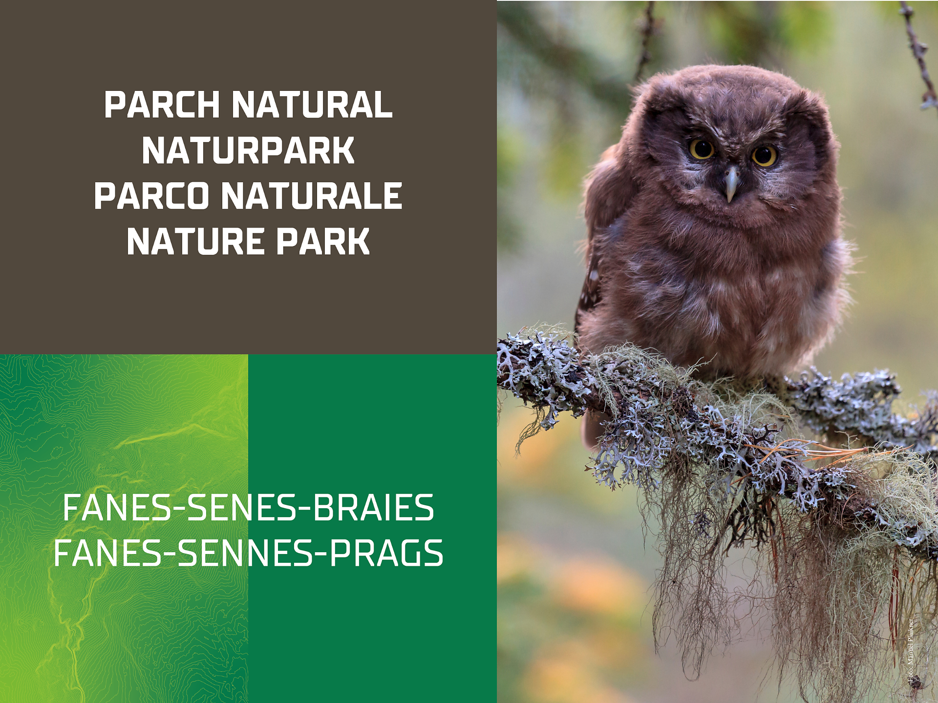 On animals' tracks| Family hike - Dolomites Region Kronplatz/Plan de Corones - #1 - suedtirol.info