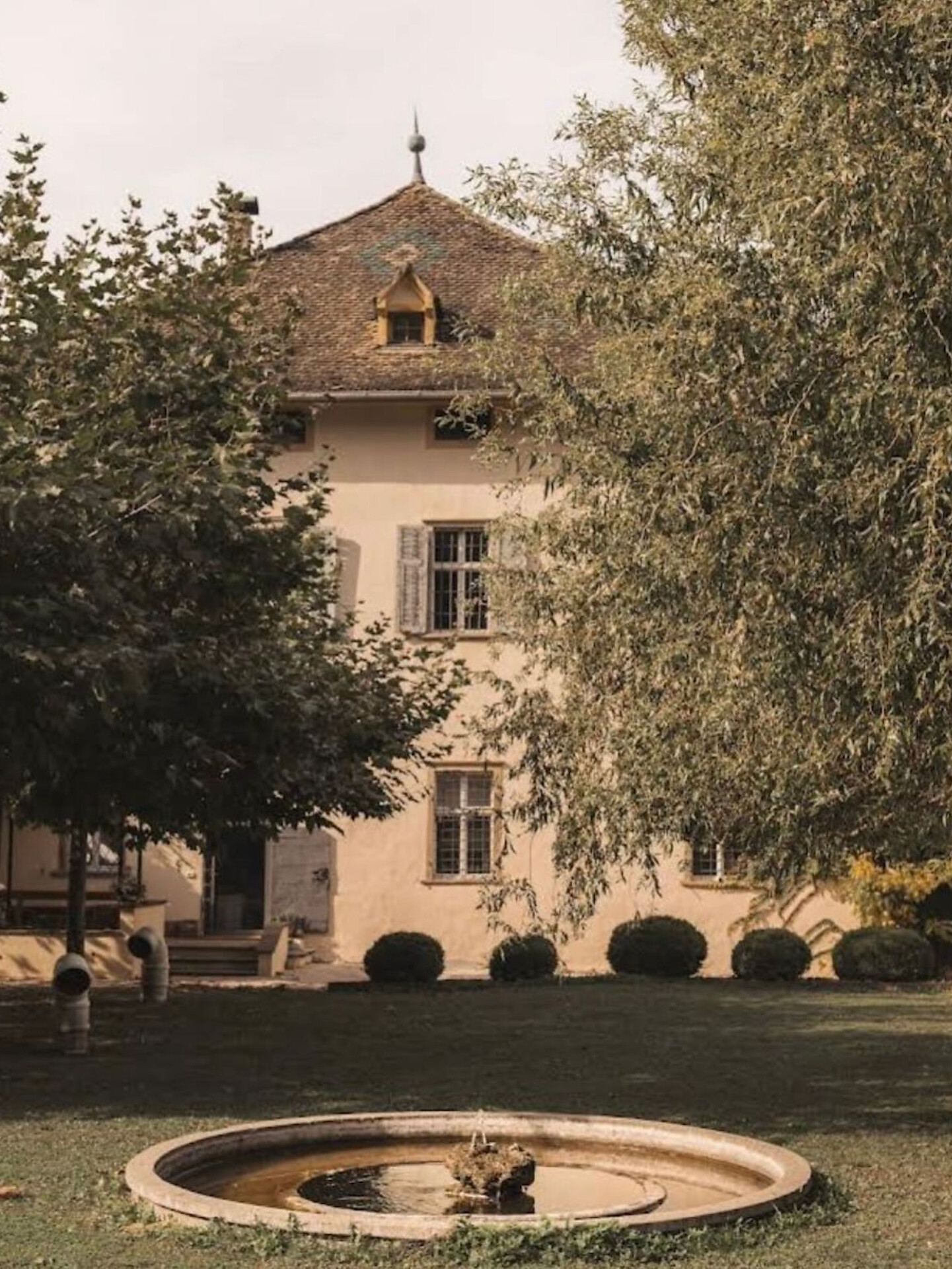 SommerAkademie 2026 – Fotografia ad un nuovo livello - Strada del Vino - #4 - suedtirol.info