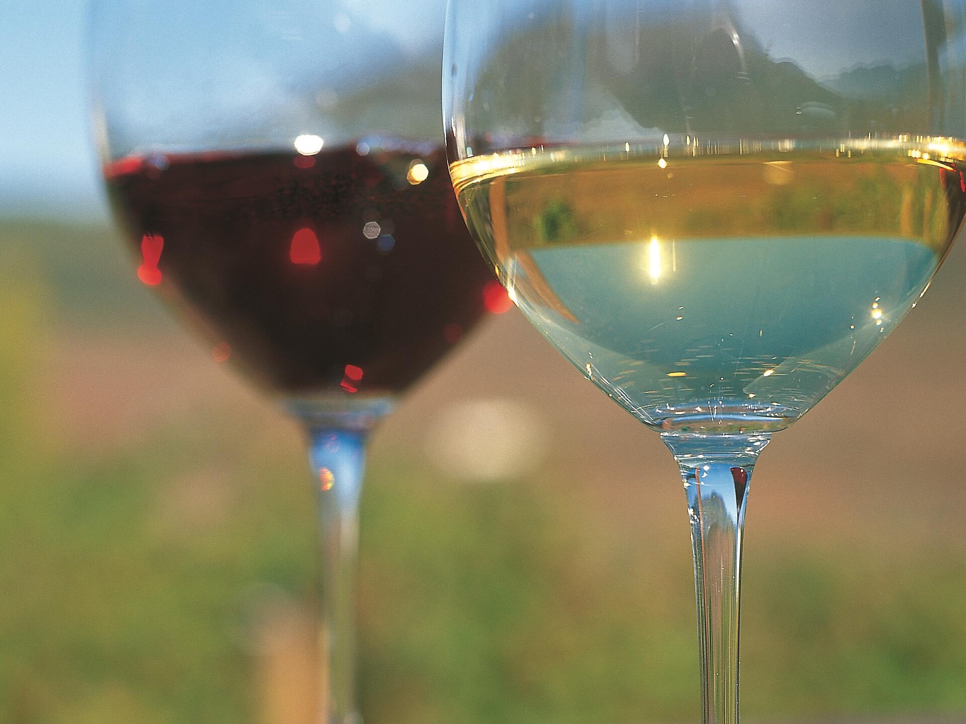 Summer nights - wine-tasting Deutschnofen/Nova Ponente 3 suedtirol.info