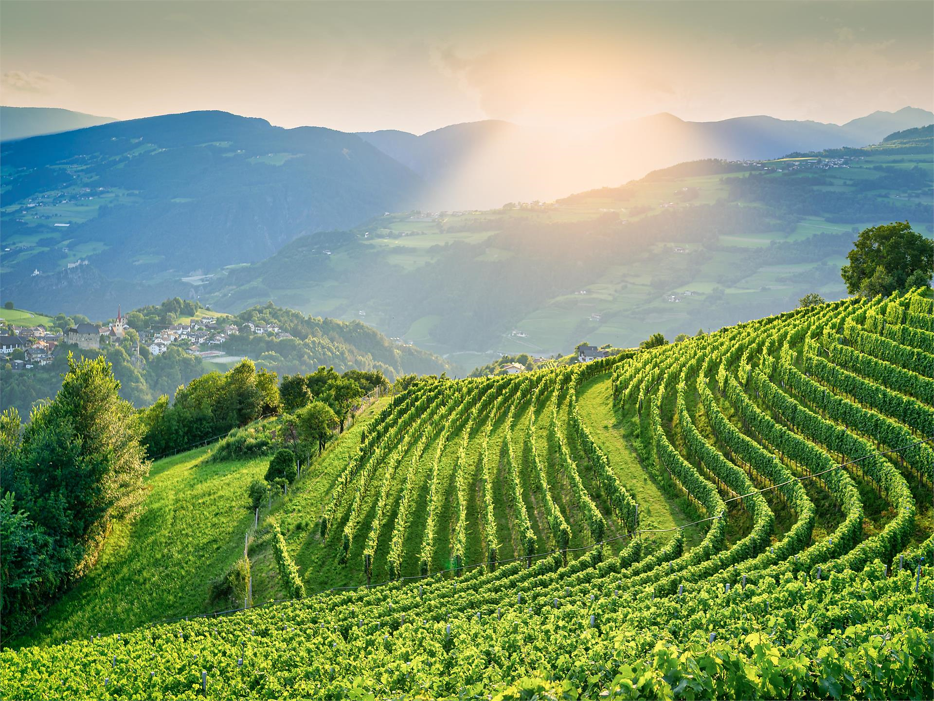 Sunset Tasting Klausen 3 suedtirol.info
