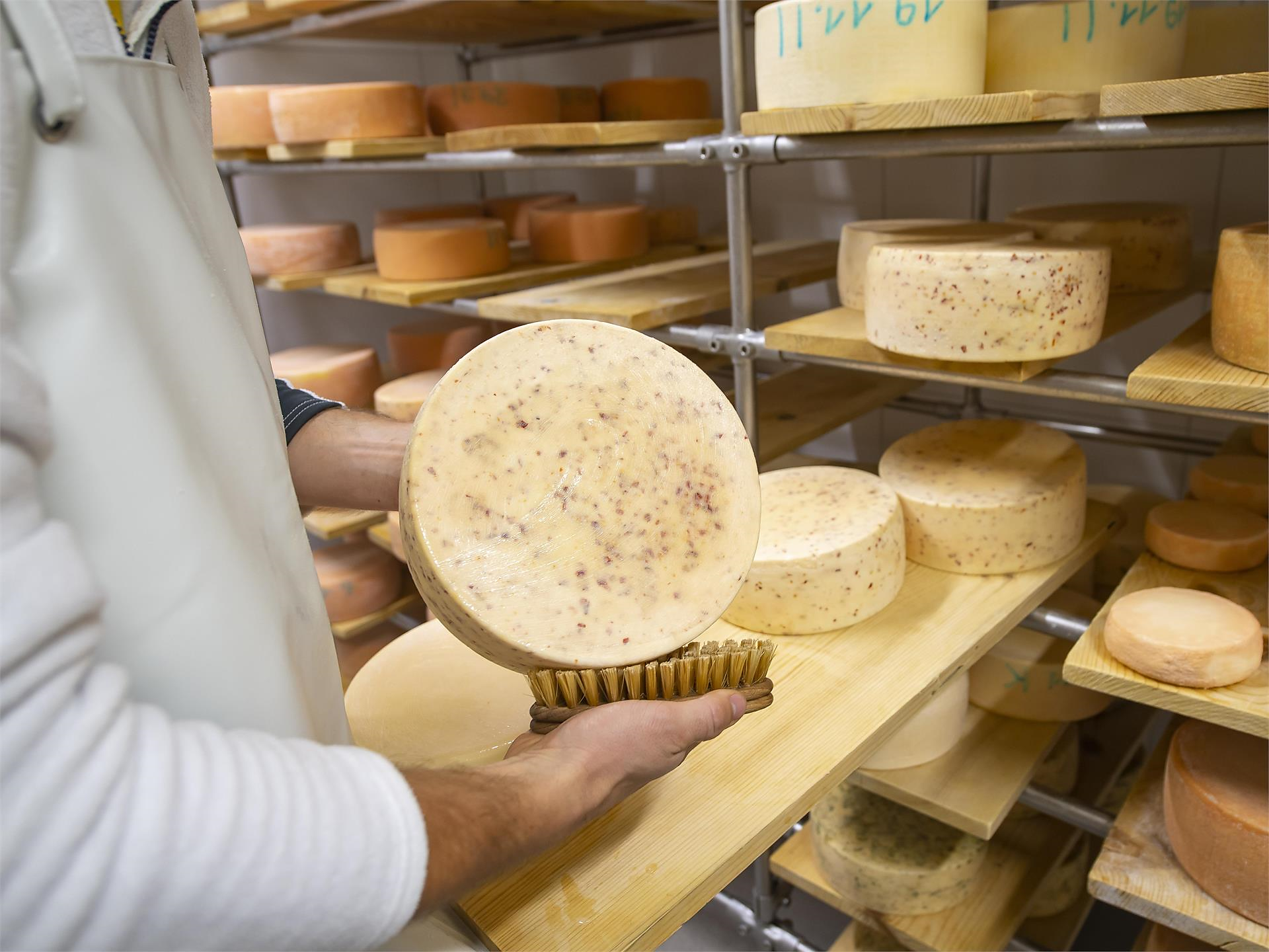 Such a cheese (Psairer Langis) St.Martin in Passeier/San Martino in Passiria 1 suedtirol.info