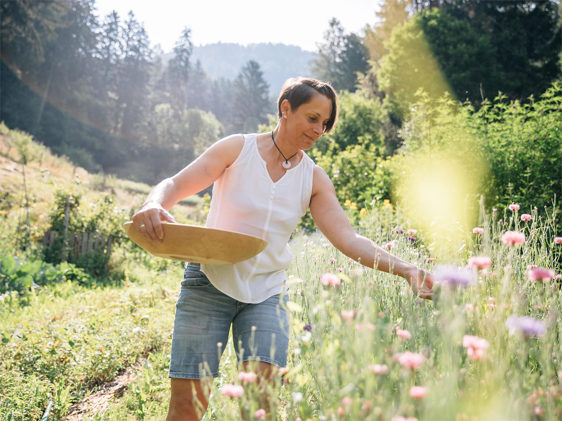 Le erbe selvatiche come superfood (Psairer Langis) San Leonardo in Passiria 1 suedtirol.info