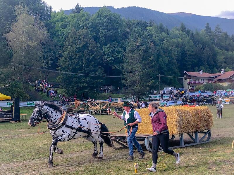 South Tyrolean Carter's Days Rasen-Antholz/Rasun Anterselva 2 suedtirol.info