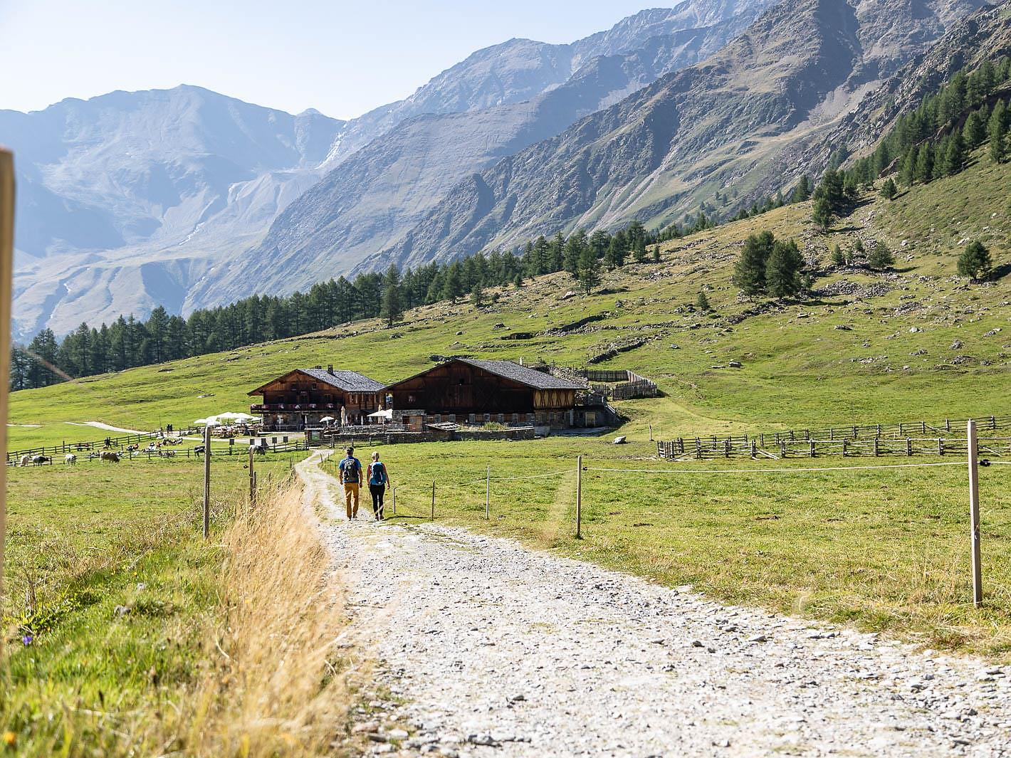 Shuttle Pfossental - Naturns (Rückfahrt) Naturns 1 suedtirol.info