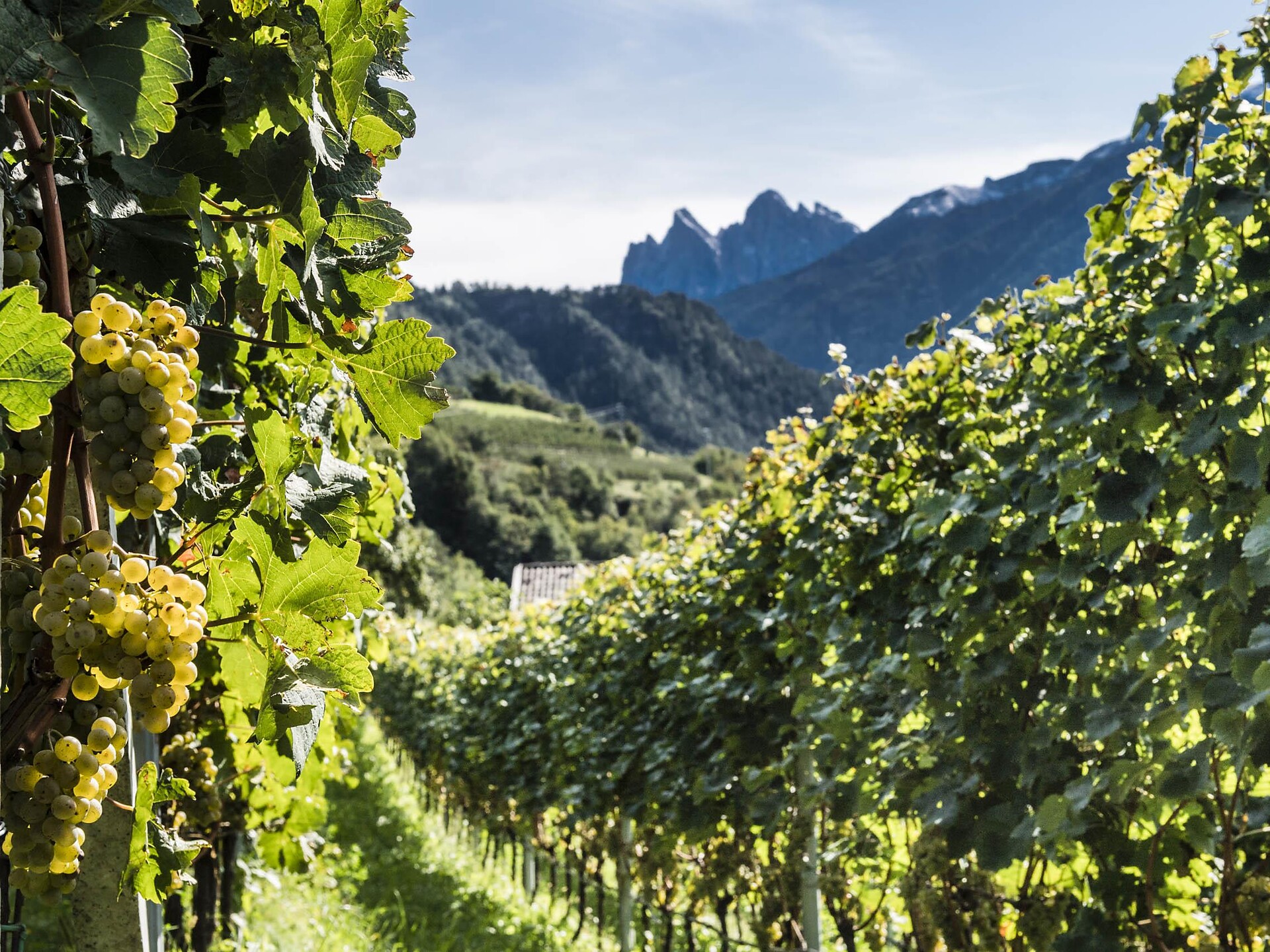 Sunset Tour & Tasting - Brixen und Umgebung - #2 - suedtirol.info