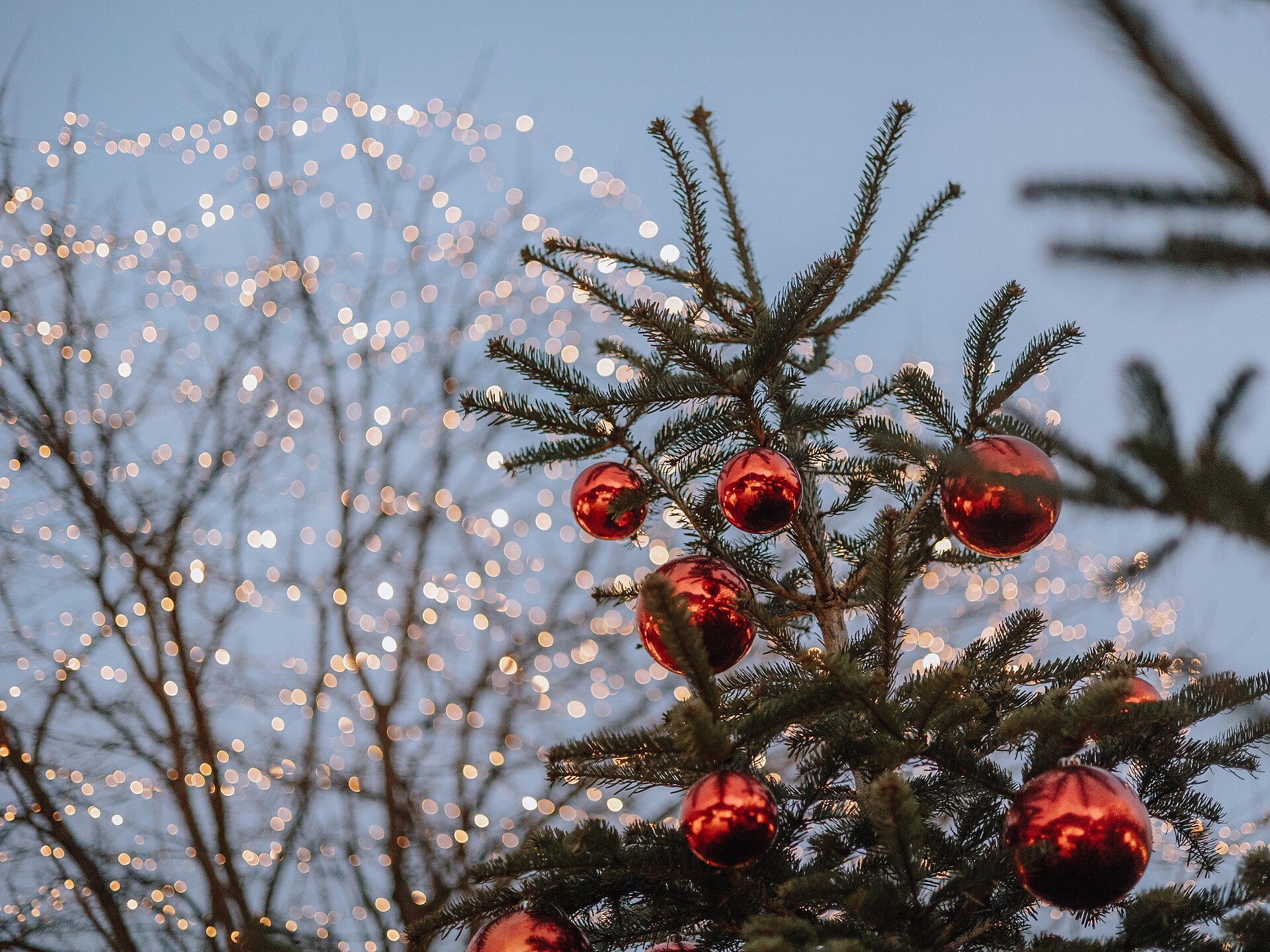 Weihnachtsmesse in italienischer Sprache - Meran und Umgebung - #1 - suedtirol.info