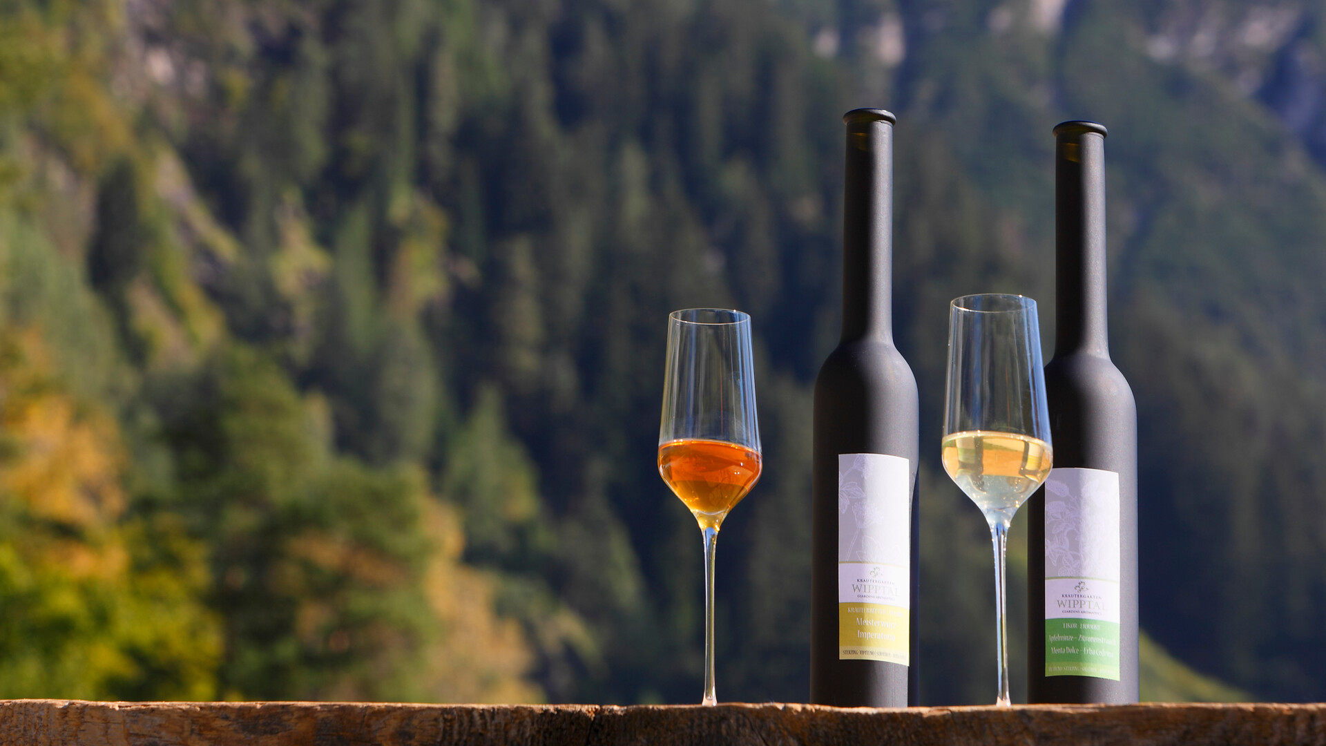 Summer aperitif the "Botenhof" - Wipptal Herb Gardens in the Pflerschvalley - Sterzing/Vipiteno and environs - #1 - suedtirol.info